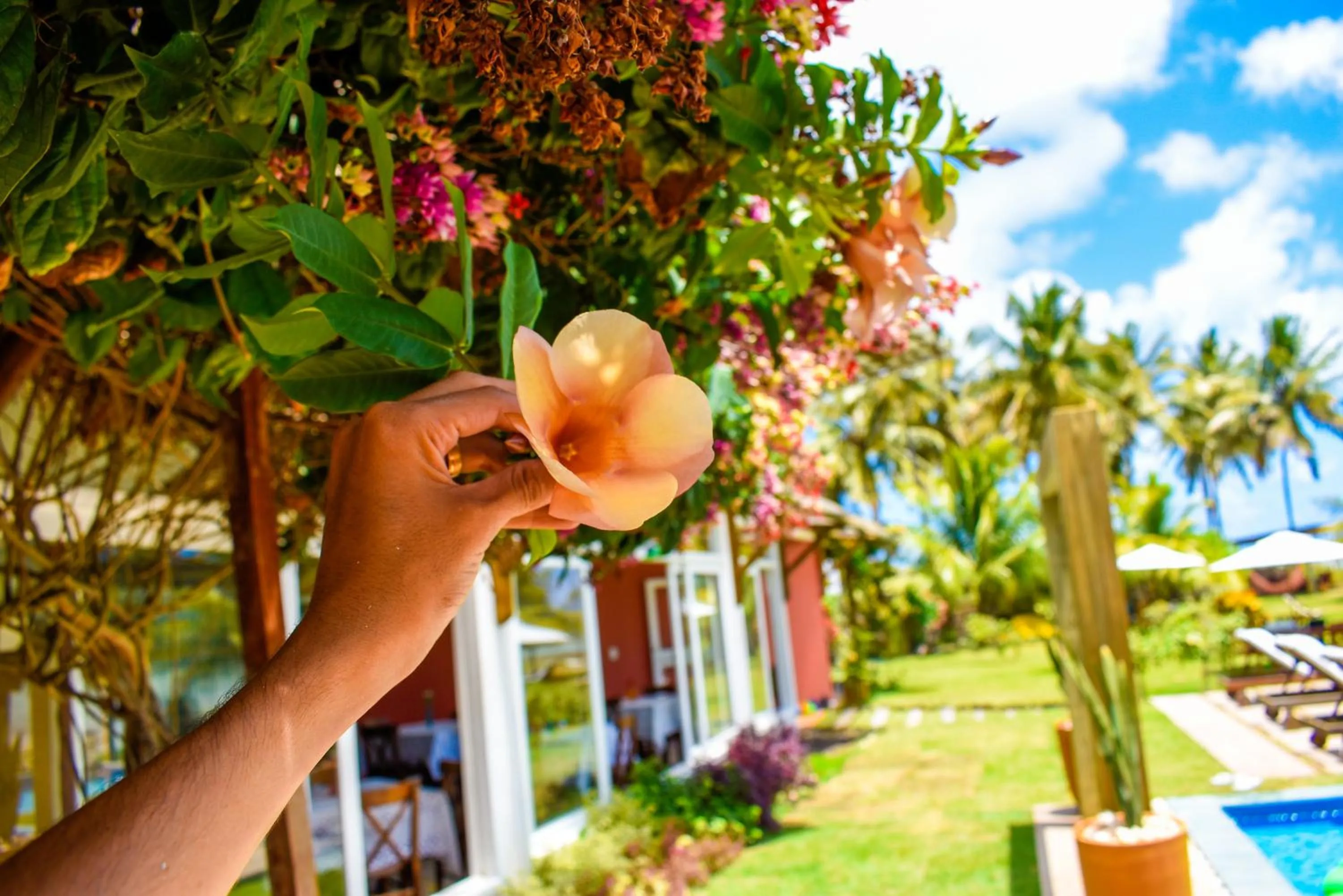 Spring in Pousada Marceneiro