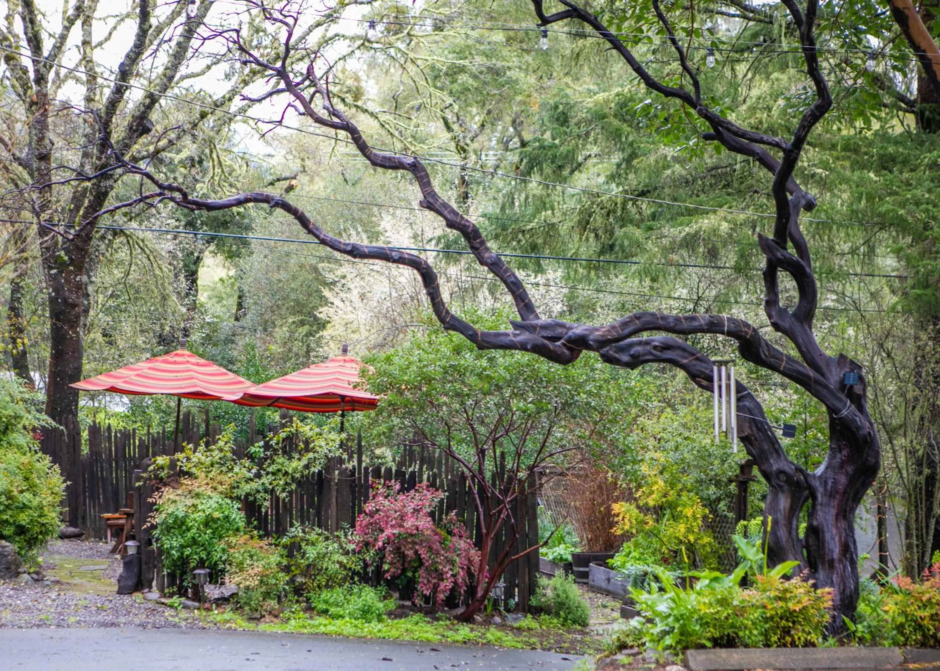 Natural landscape in Anderson Valley Inn