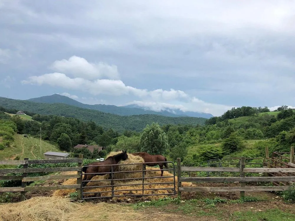 Horse-riding in On top of the world at Sugar Top Resort