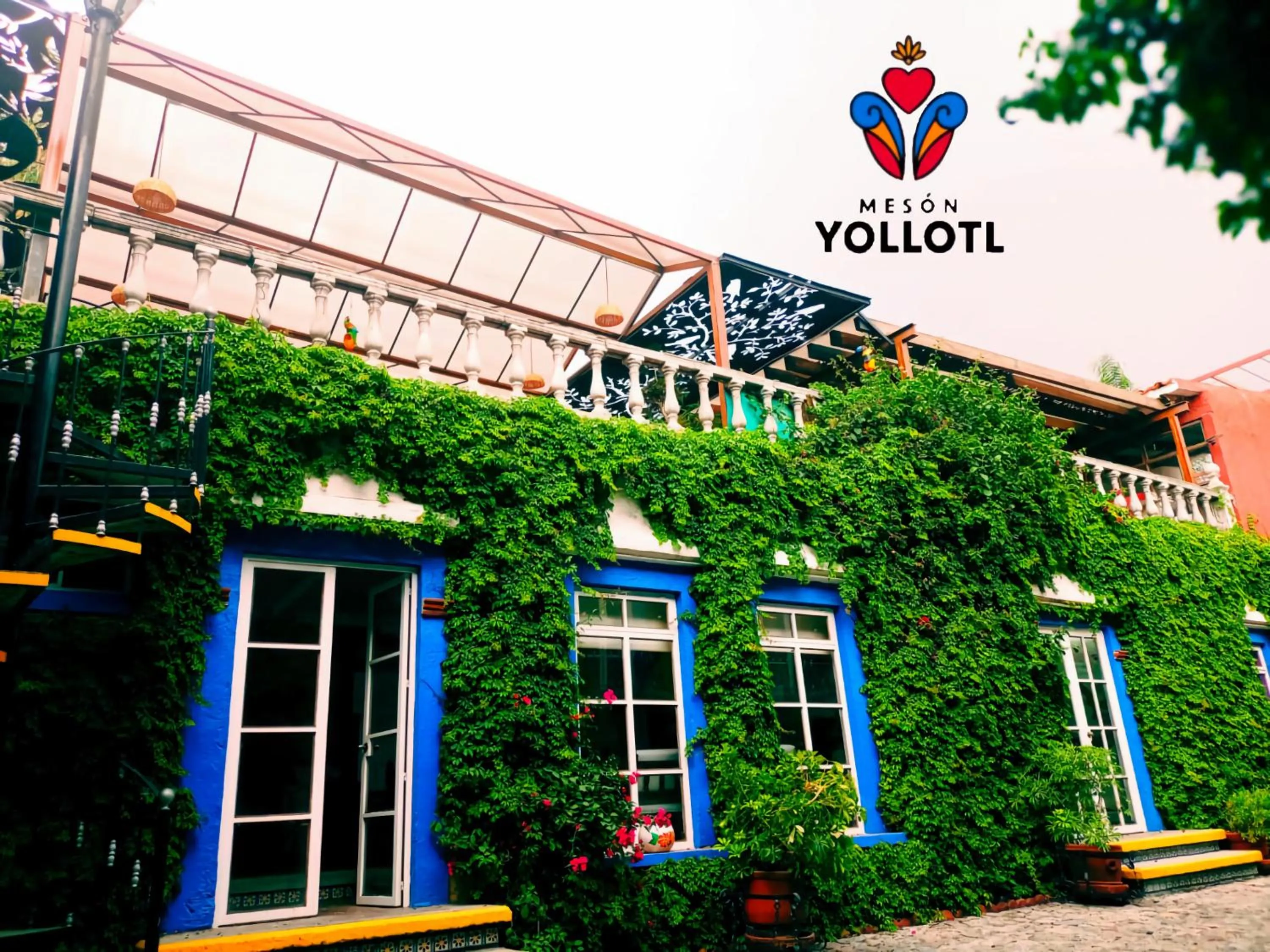 Property building in Mesón Yollotl