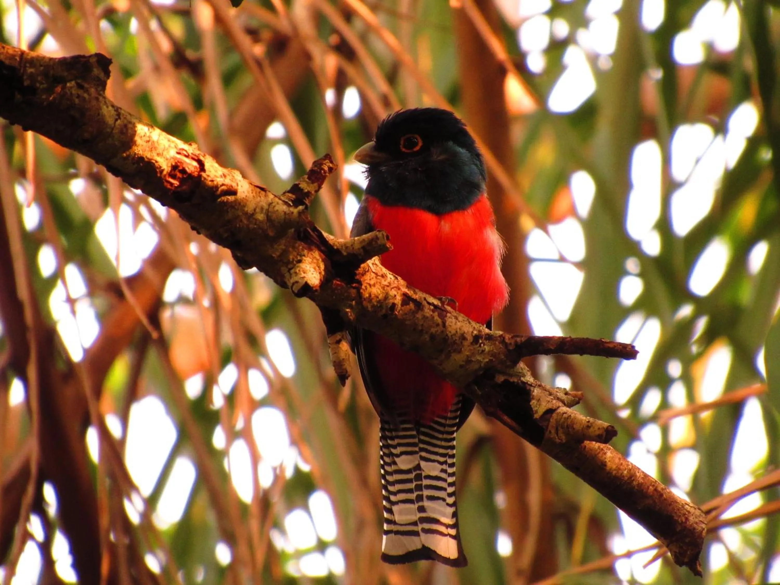 Hiking in Cantos da Mata