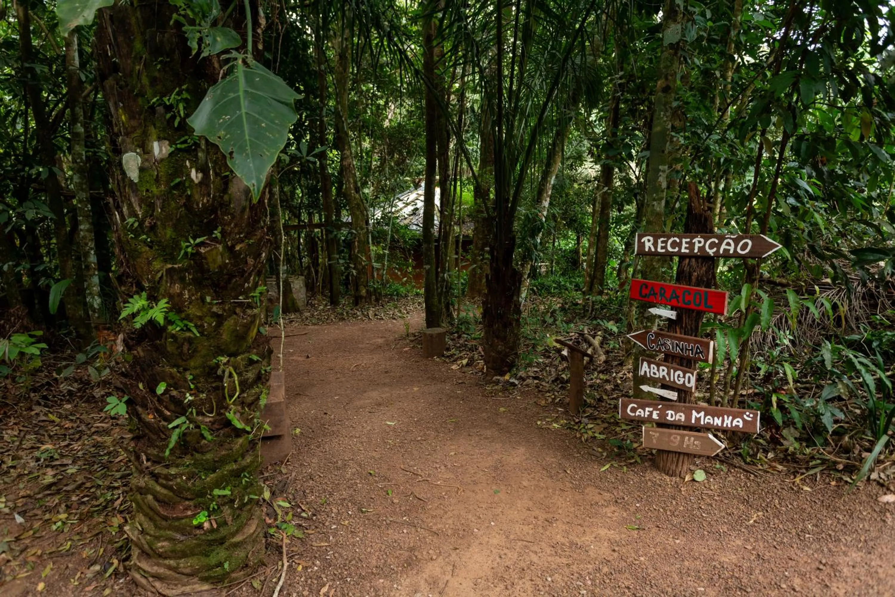Hiking in Cantos da Mata