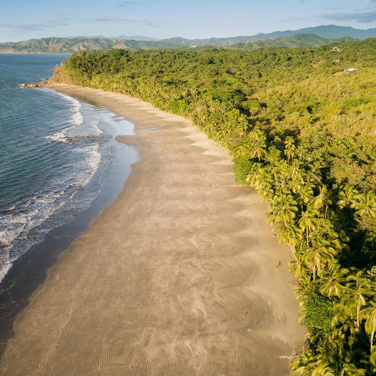 Natural landscape in Punta Duarte Garden Inn