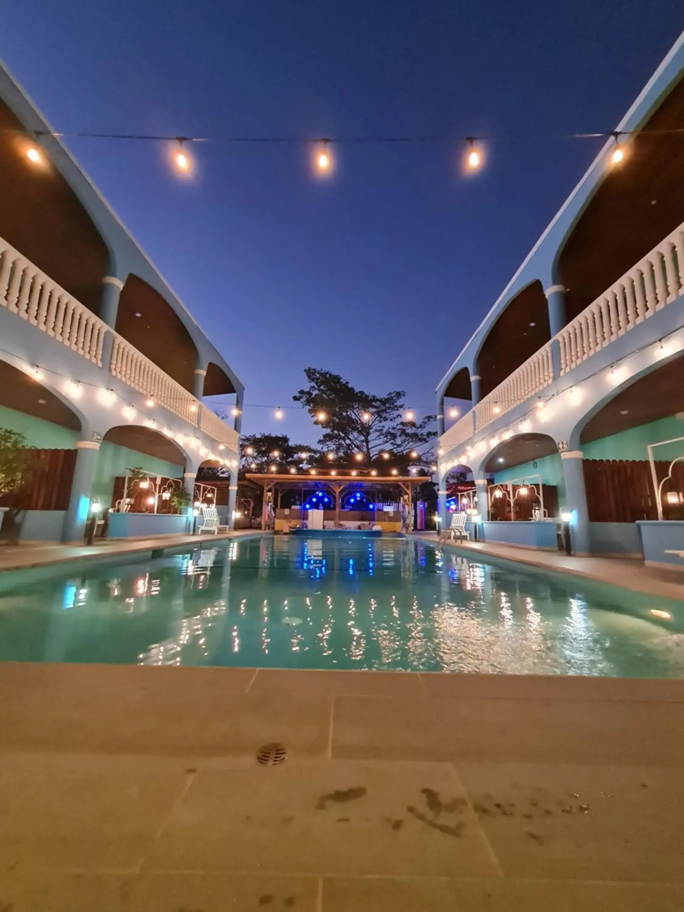 Toro Blanco Toro Blanco