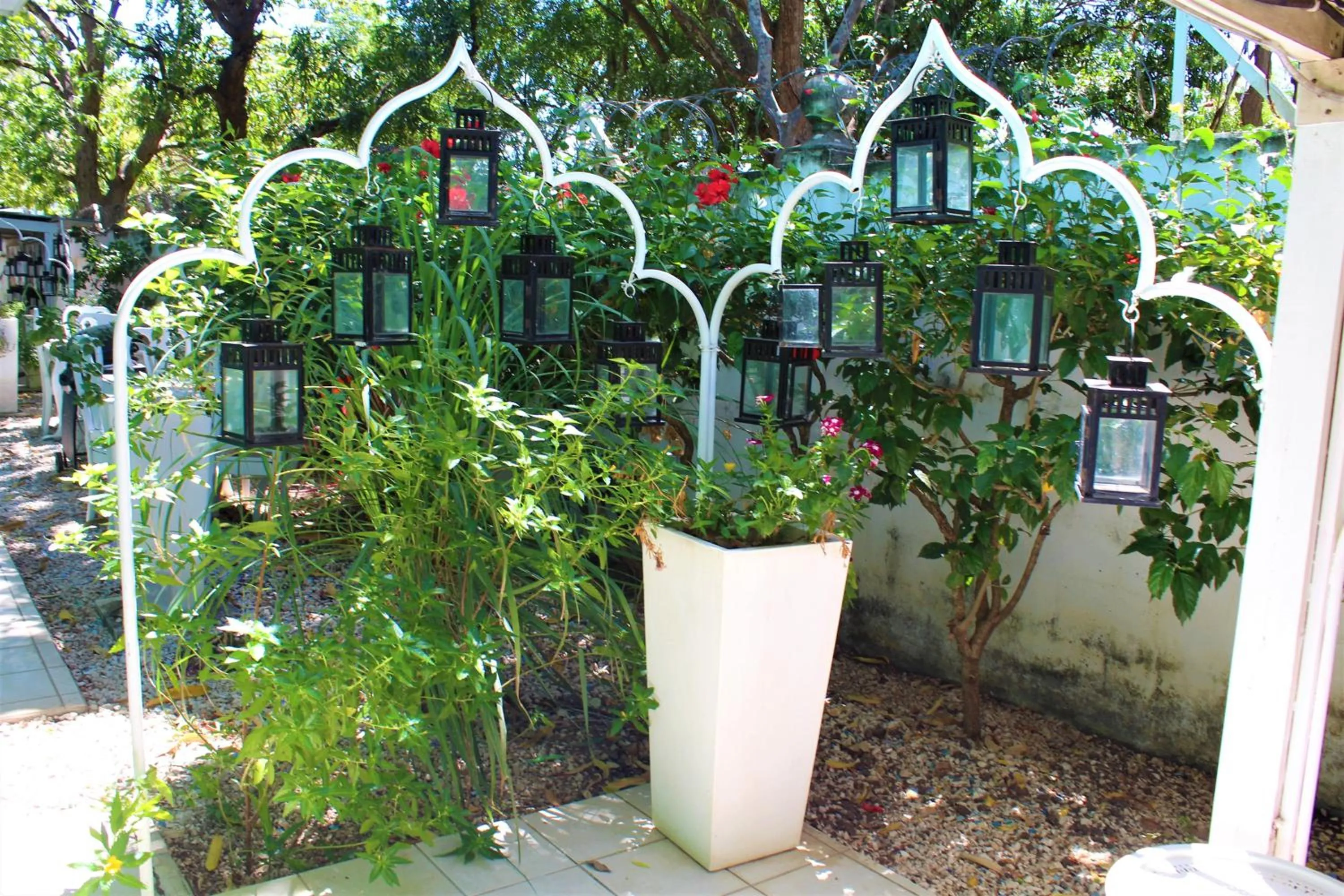 Garden in Toro Blanco