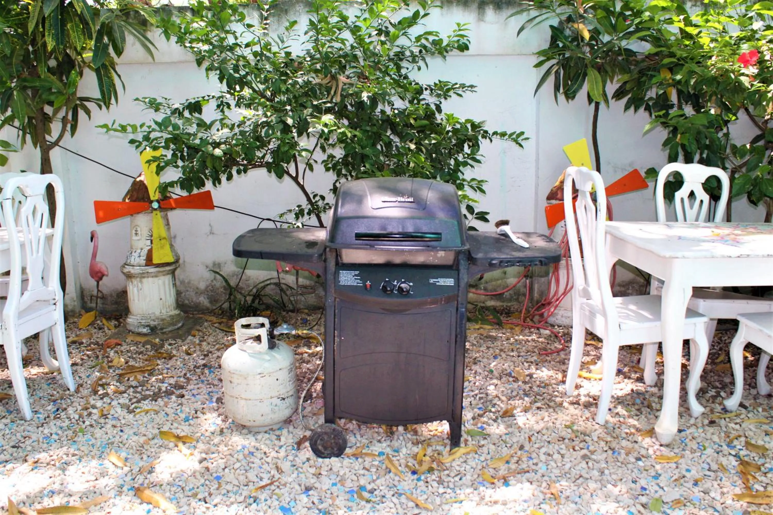 BBQ facilities in Toro Blanco