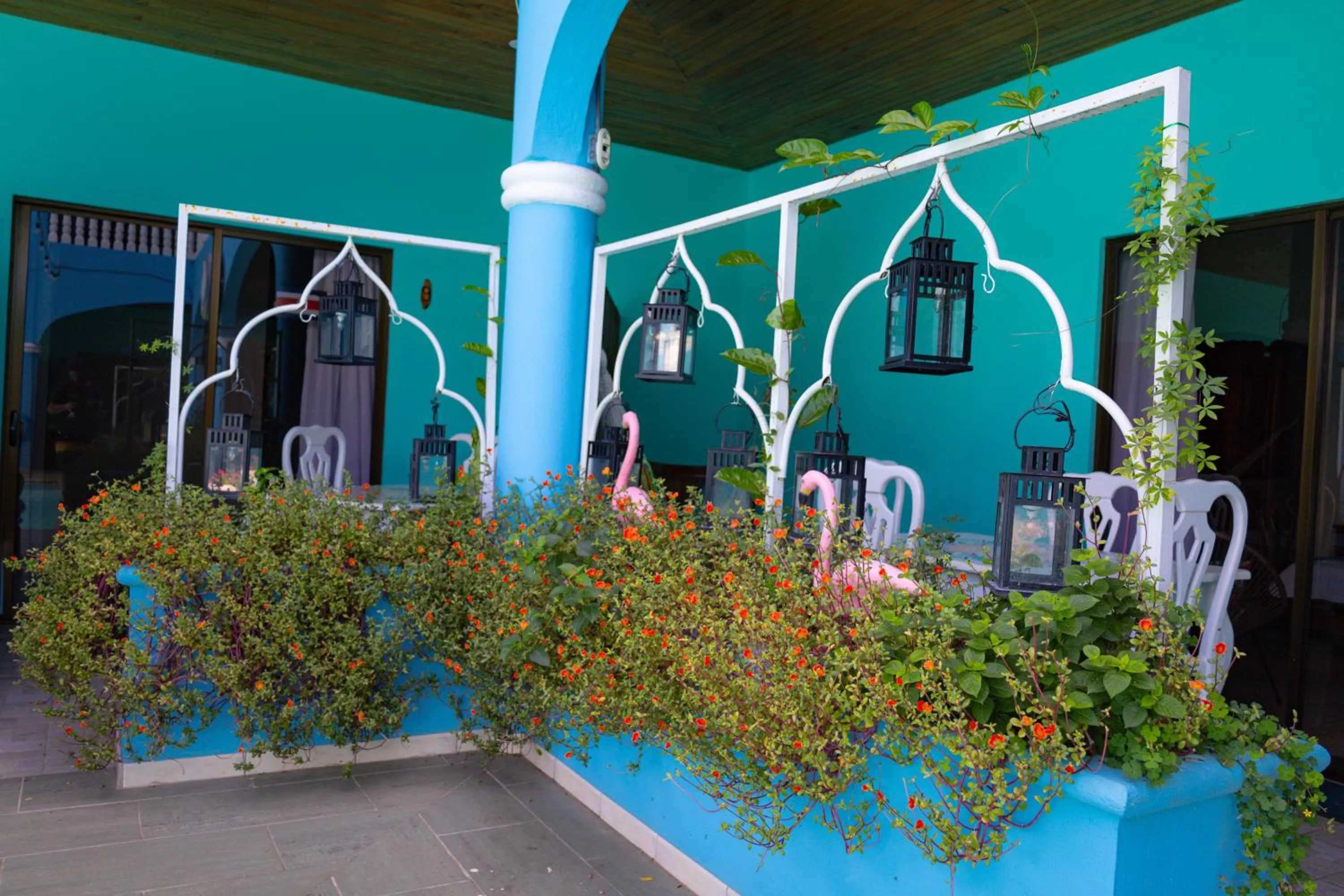 Patio in Toro Blanco