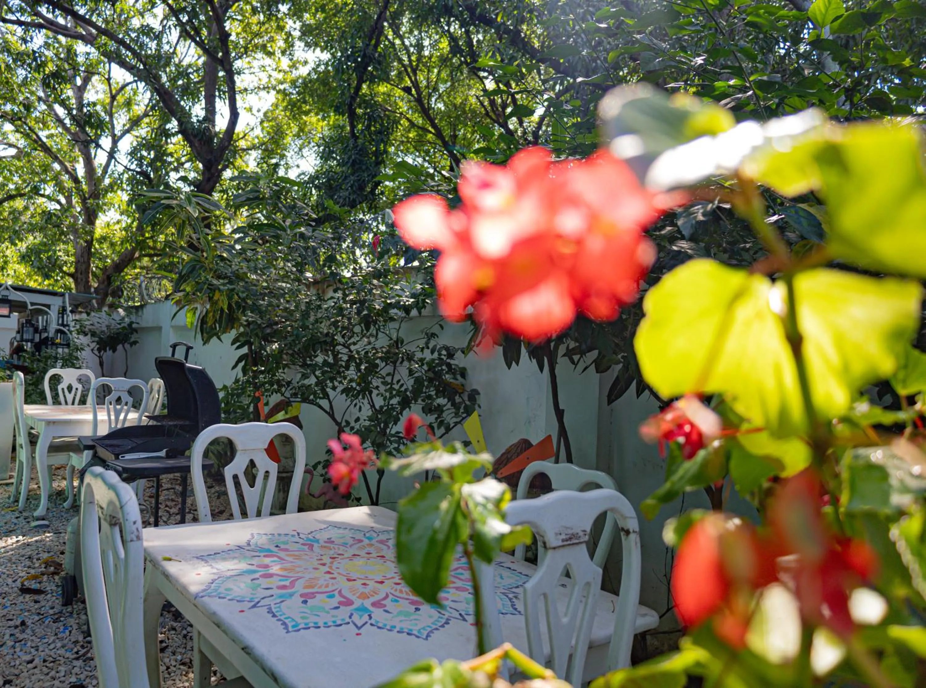 BBQ facilities in Toro Blanco