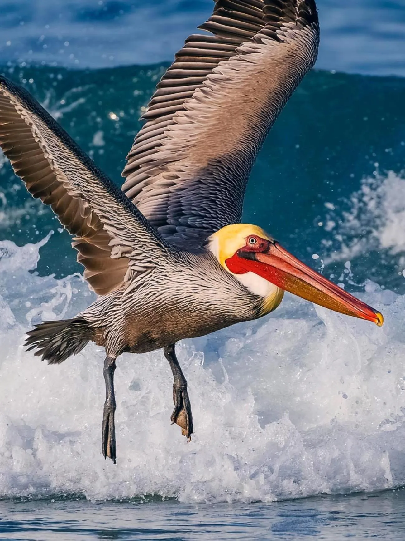 VIP in Morro Bay Beach Inn