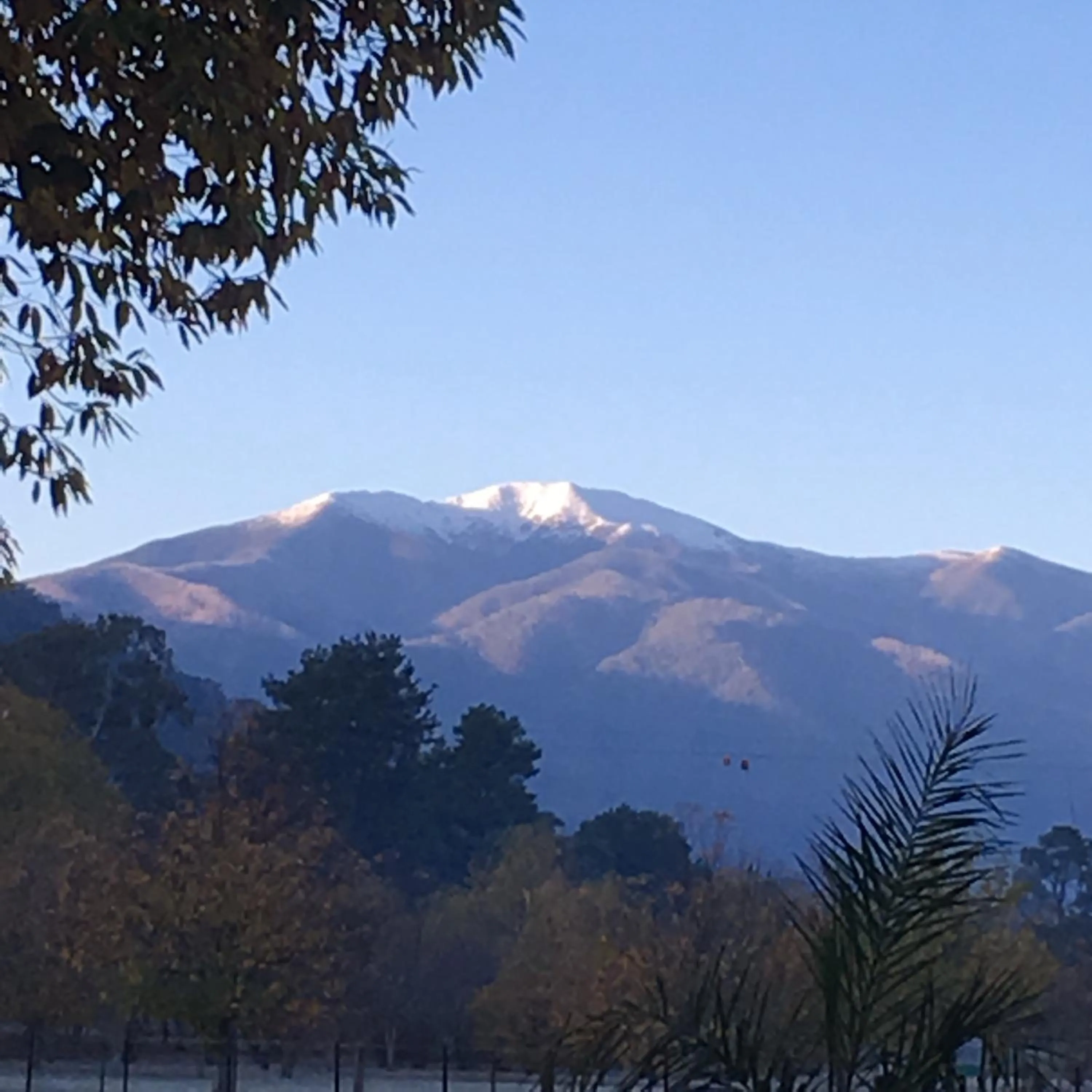 Garden in Discovery Parks - Bright