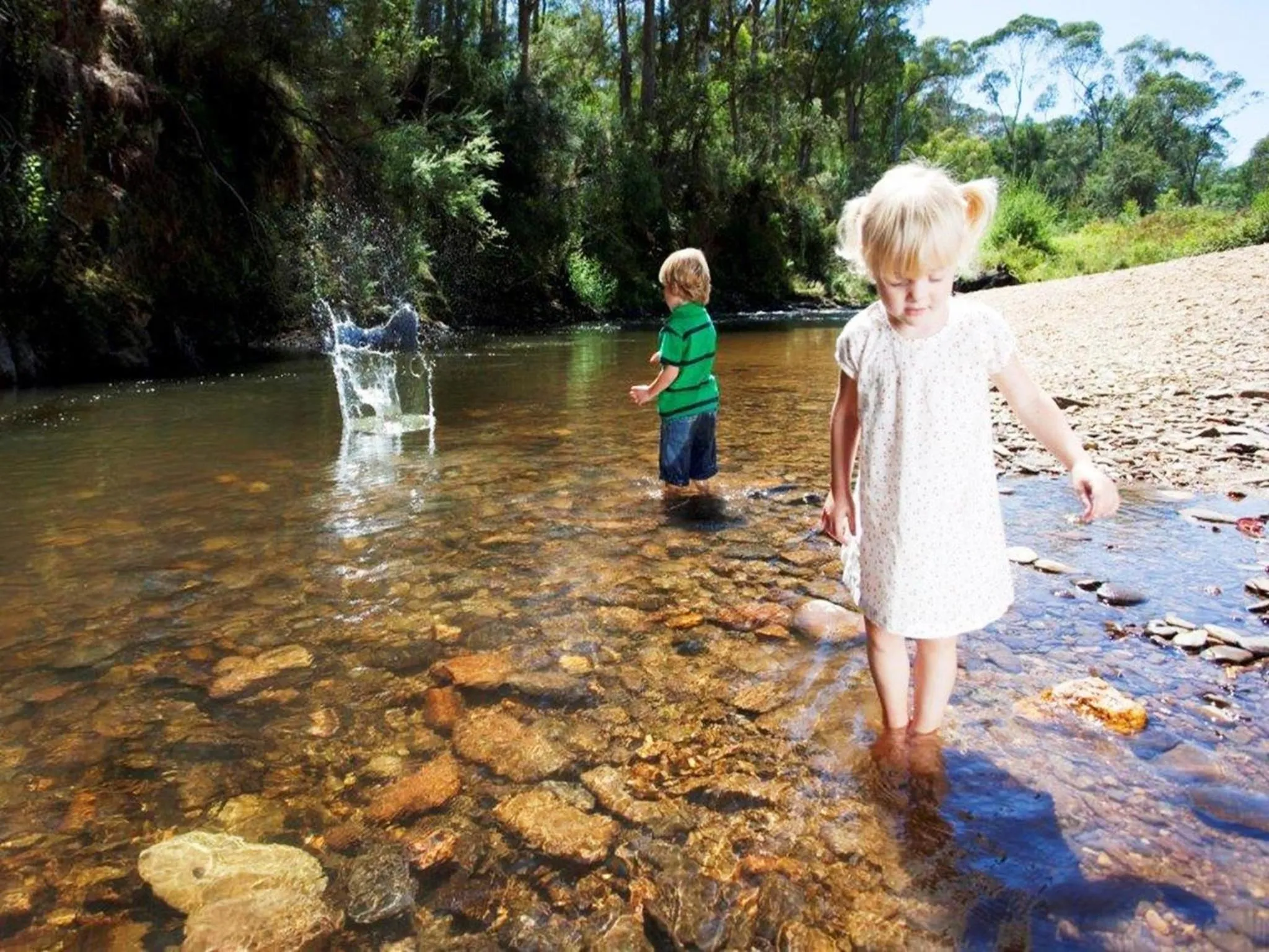 Natural landscape in Discovery Parks - Bright
