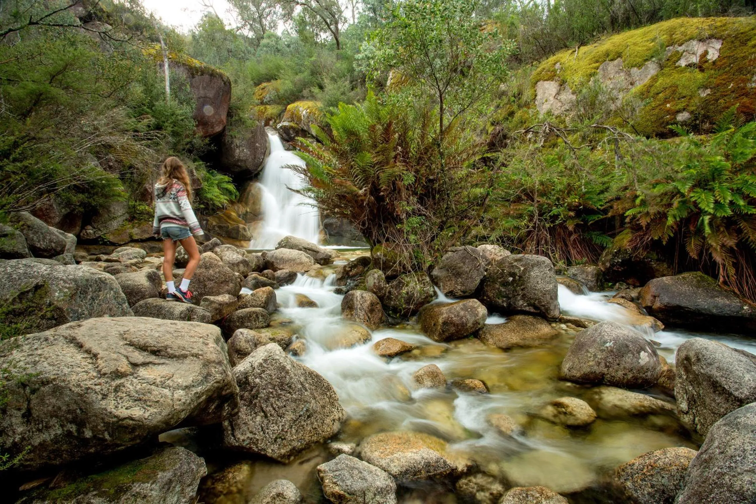 Hiking in Discovery Parks - Bright