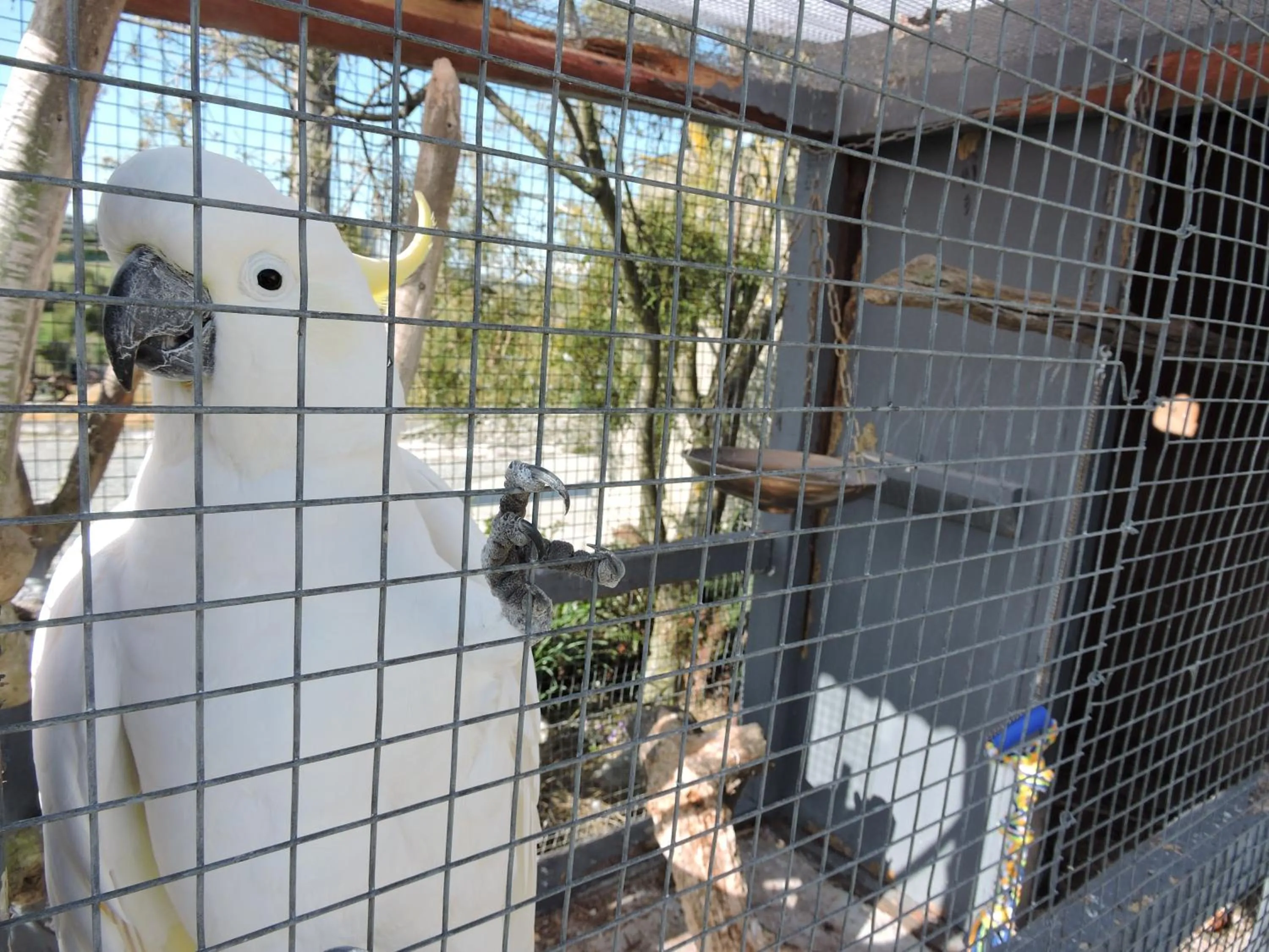 Pets in The Reservation B&B