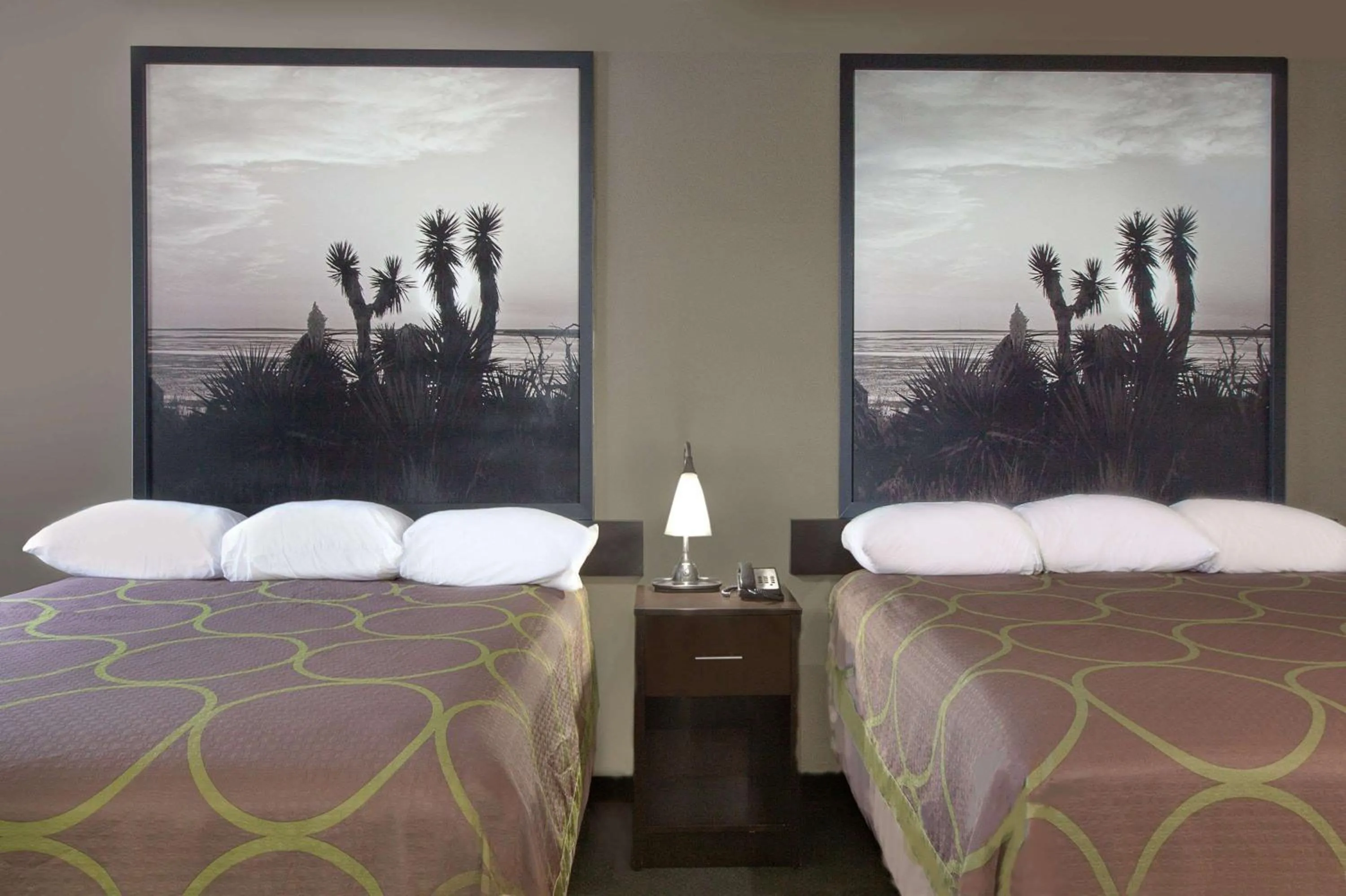 Photo of the whole room, Bed in Super 8 by Wyndham Victoria/North/Mall Area