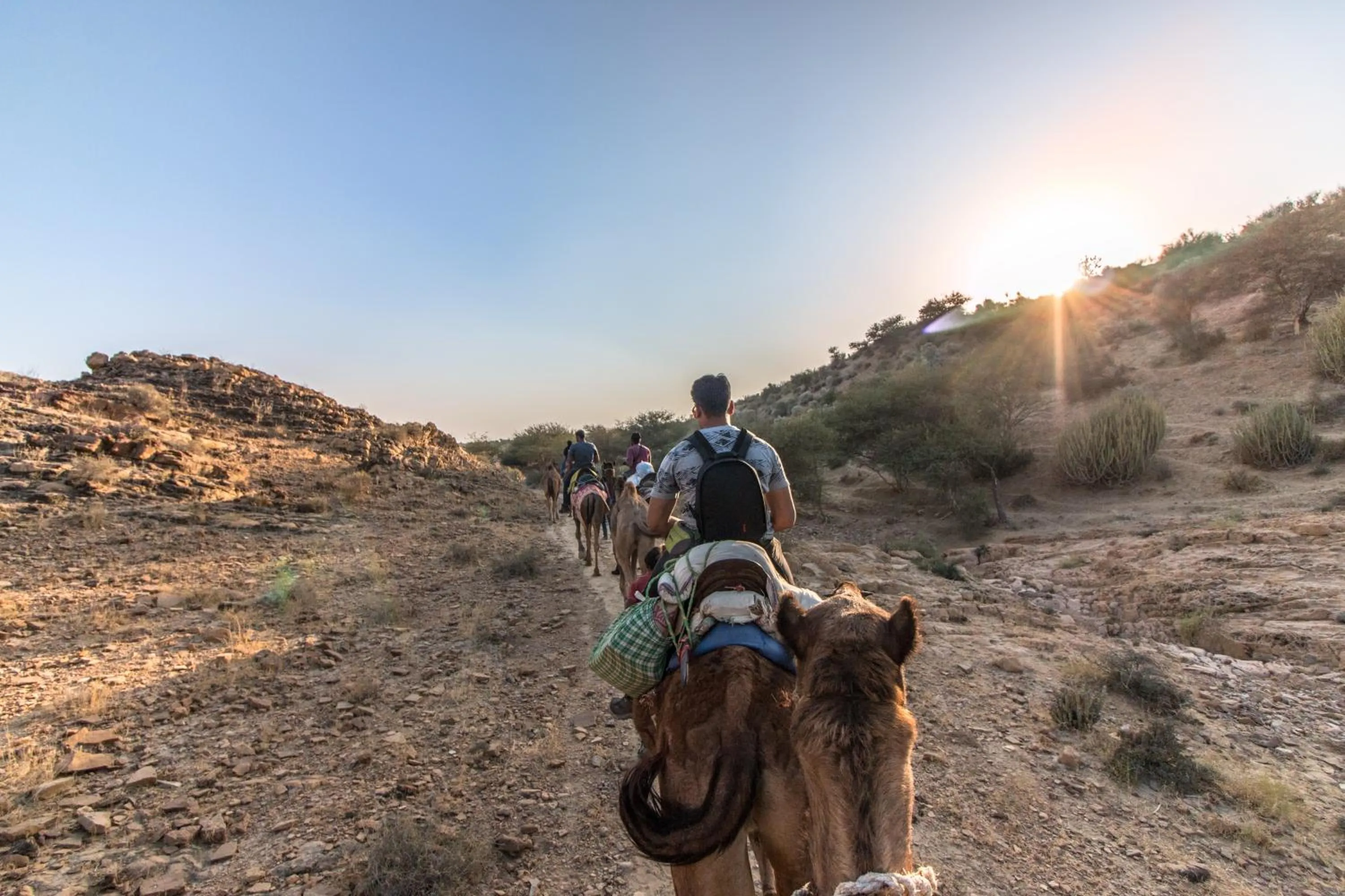 Activities in Hotel Oasis Haveli Jaisalmer