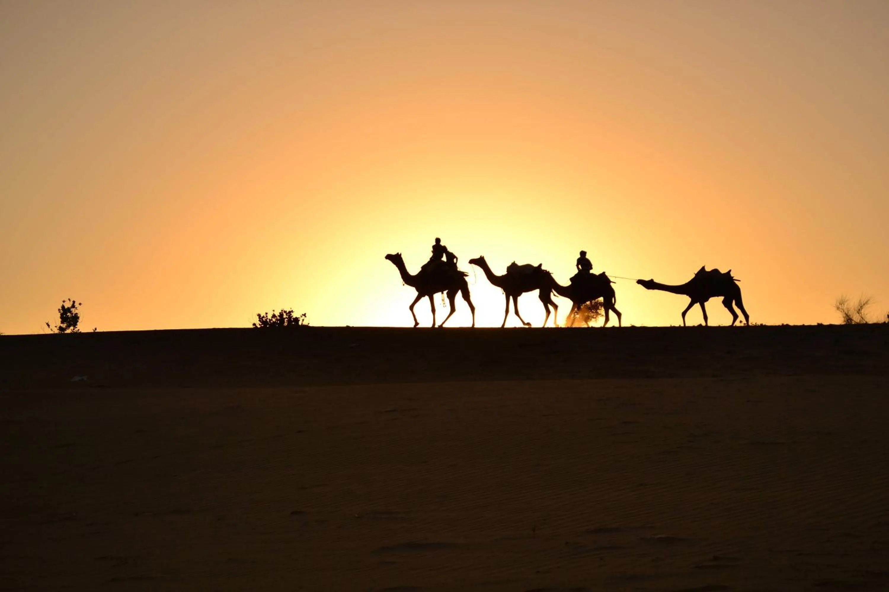 Natural landscape in Hotel Oasis Haveli Jaisalmer
