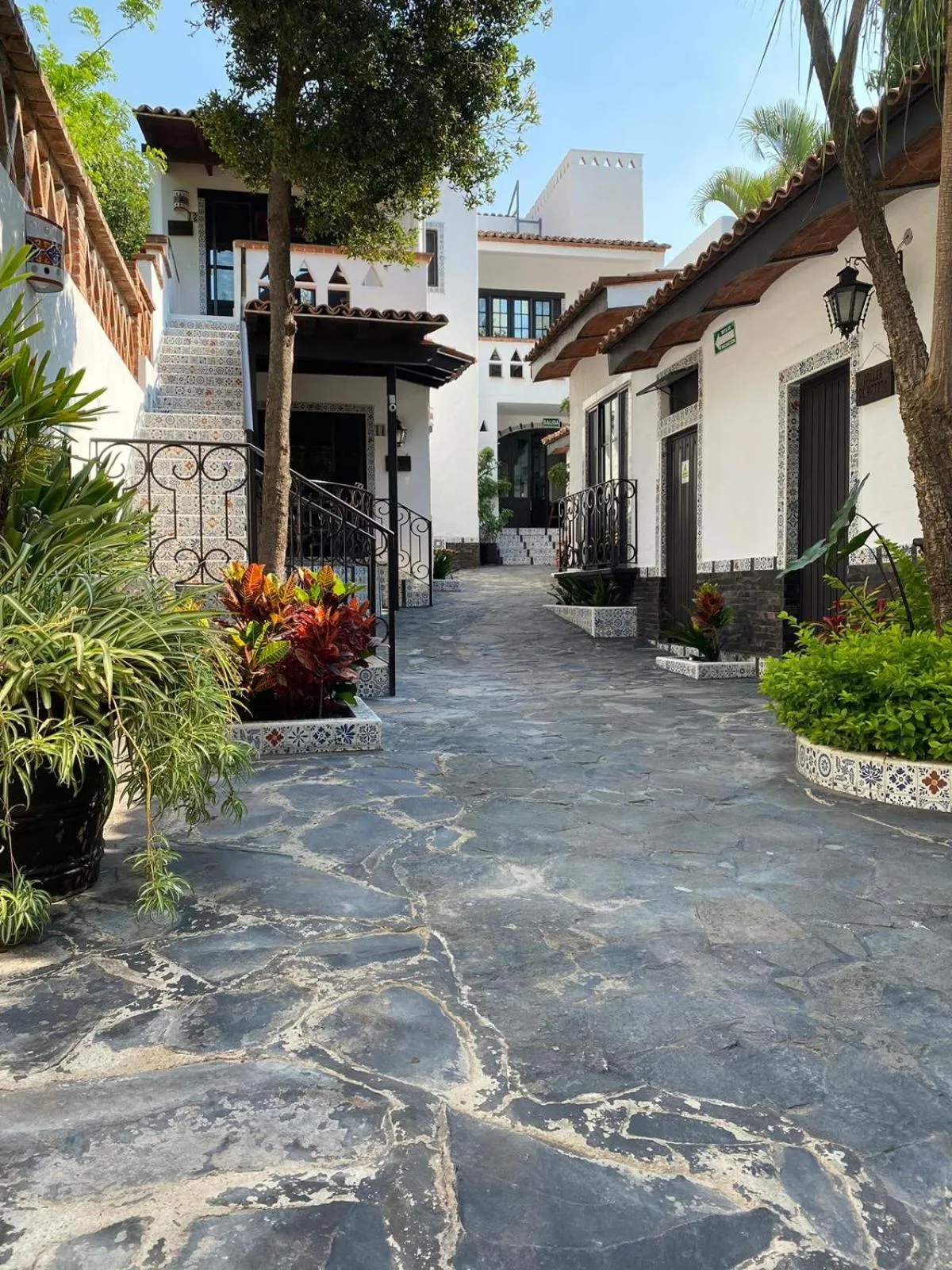 Day in Casa Yollotzin