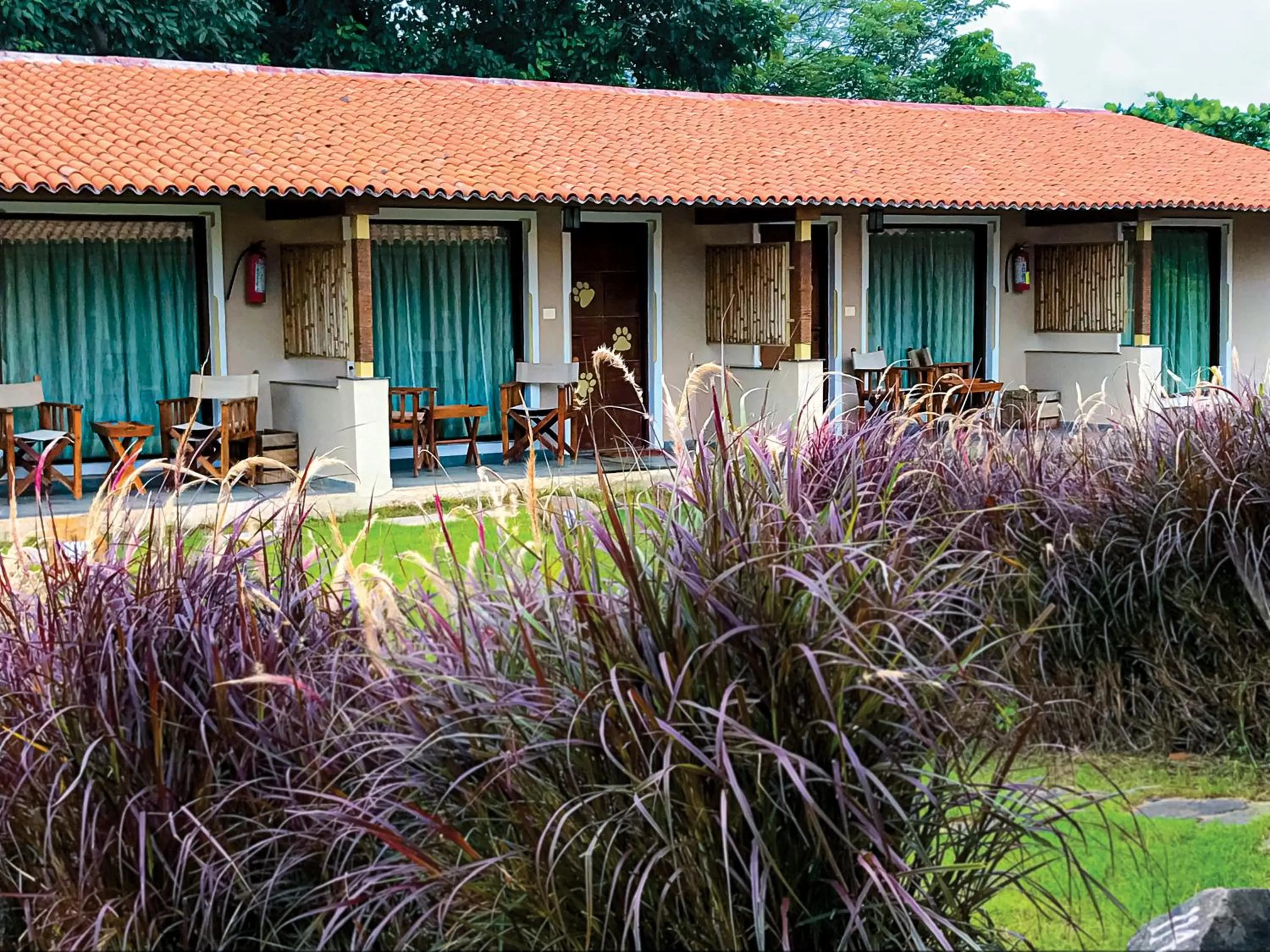 View (from property/room) in Asiatic Lion Lodge