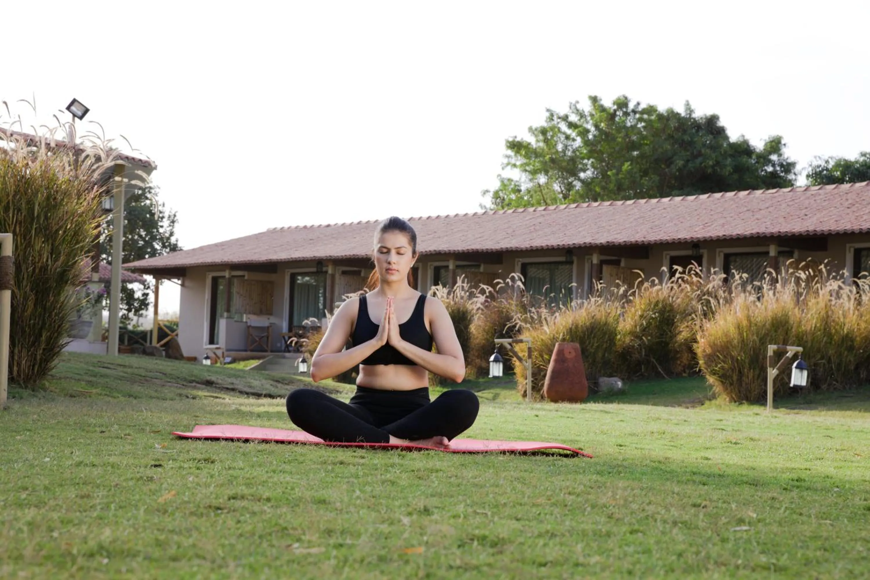 Activities in Asiatic Lion Lodge