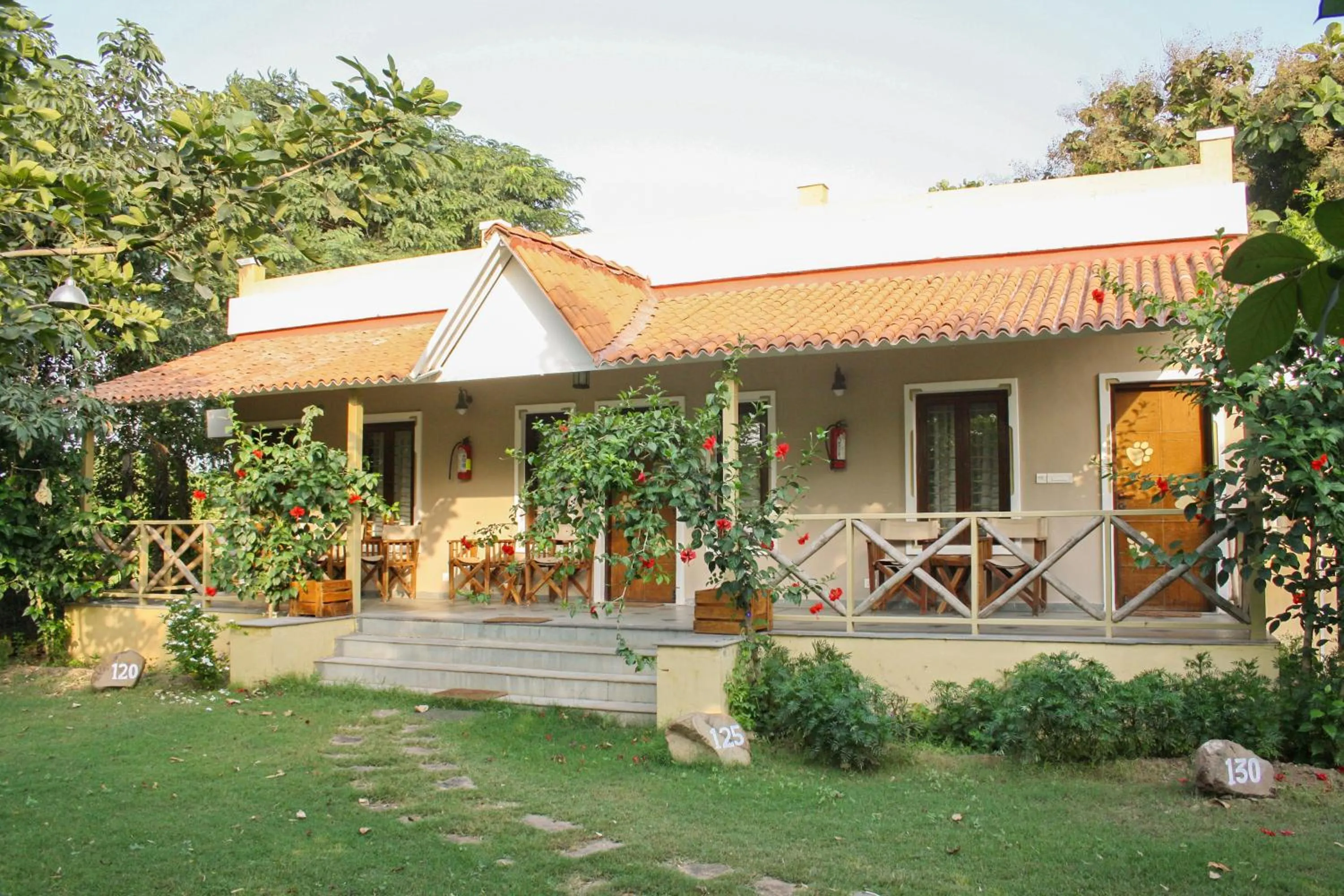 View (from property/room) in Asiatic Lion Lodge