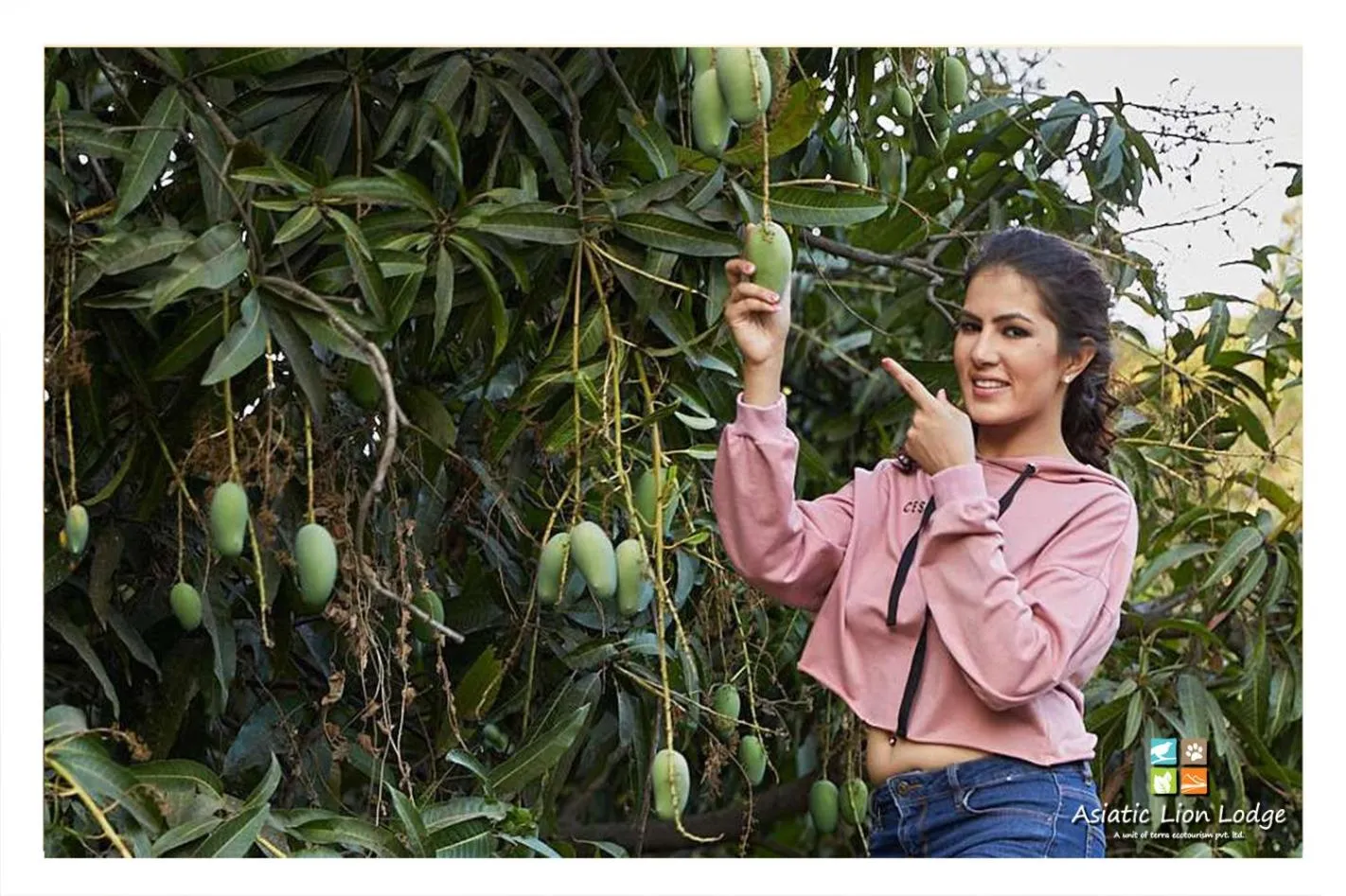 Activities in Asiatic Lion Lodge