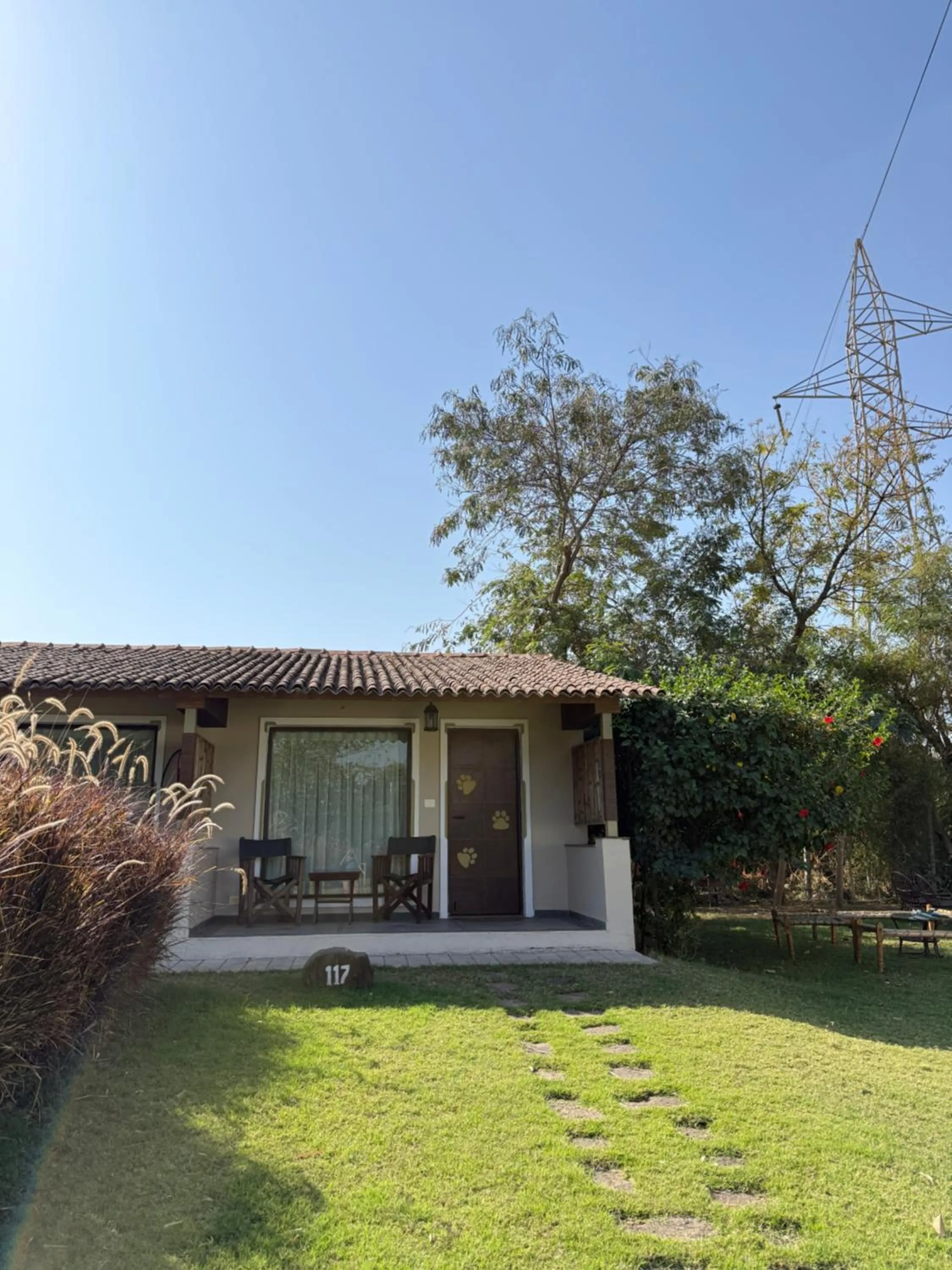 Property building in Asiatic Lion Lodge