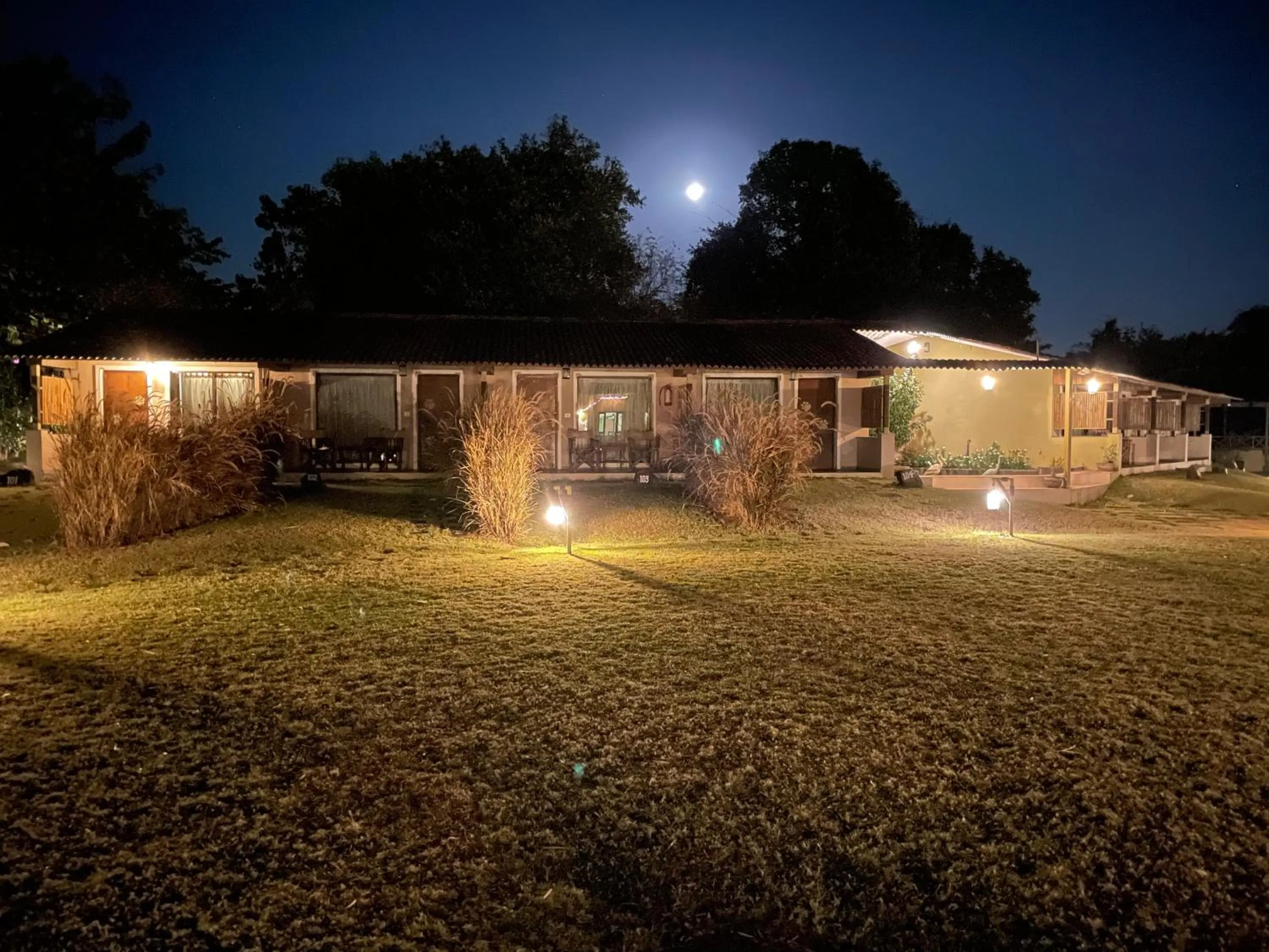 Night in Asiatic Lion Lodge