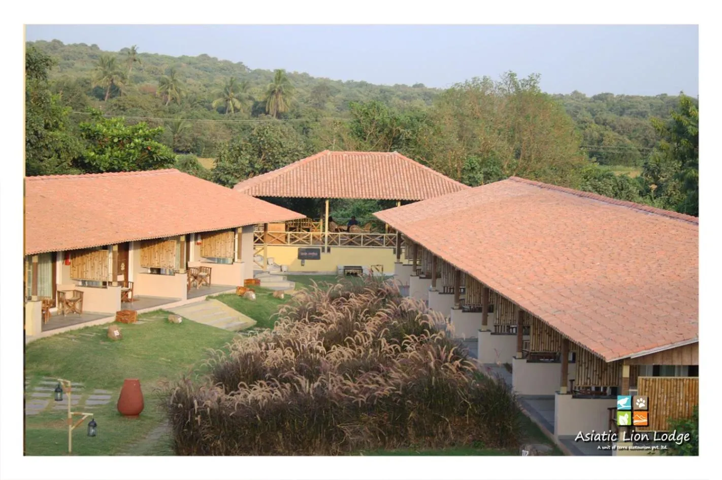 Property building in Asiatic Lion Lodge