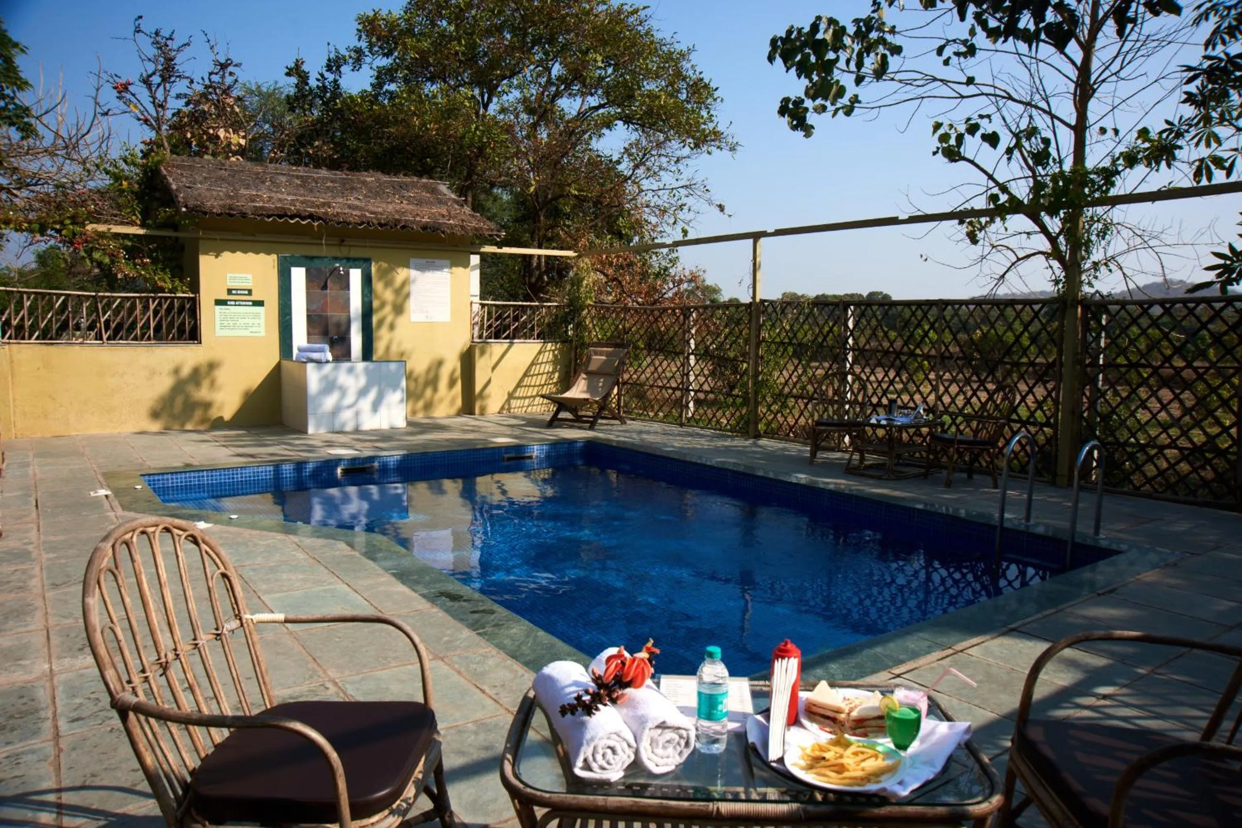 Swimming pool in Asiatic Lion Lodge