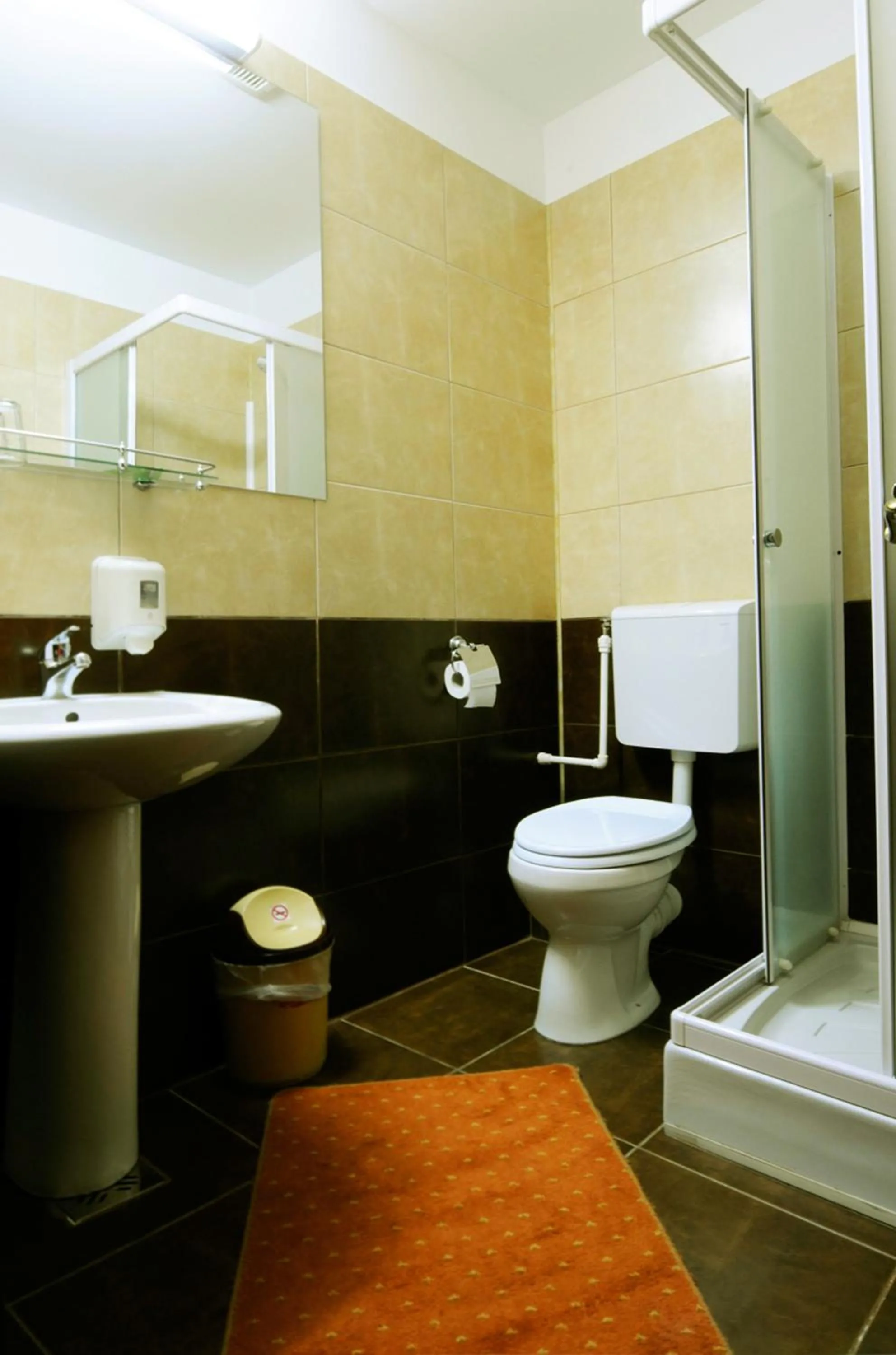 Double or Twin Room in Pensiunea Delta Dunarii
