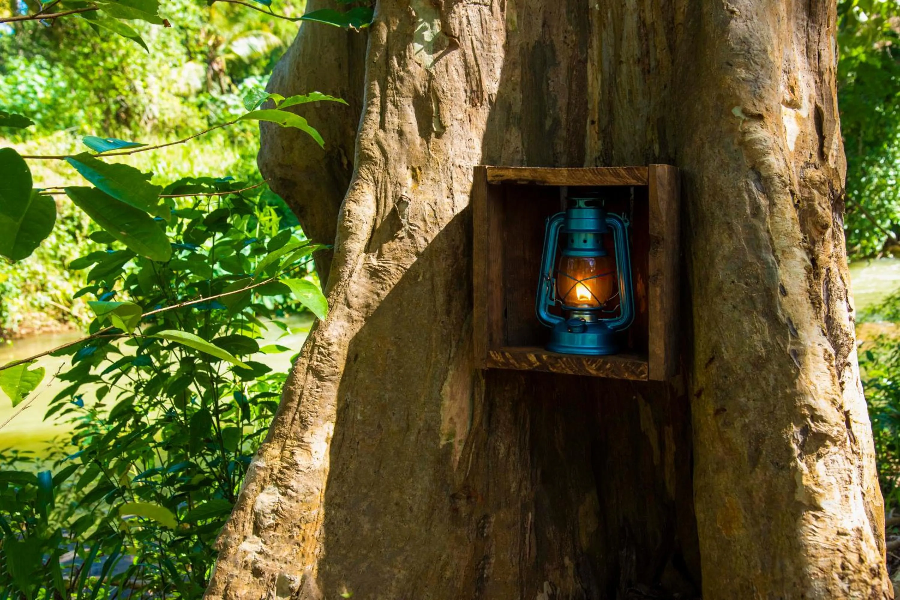 Garden in The New Crown Hotel