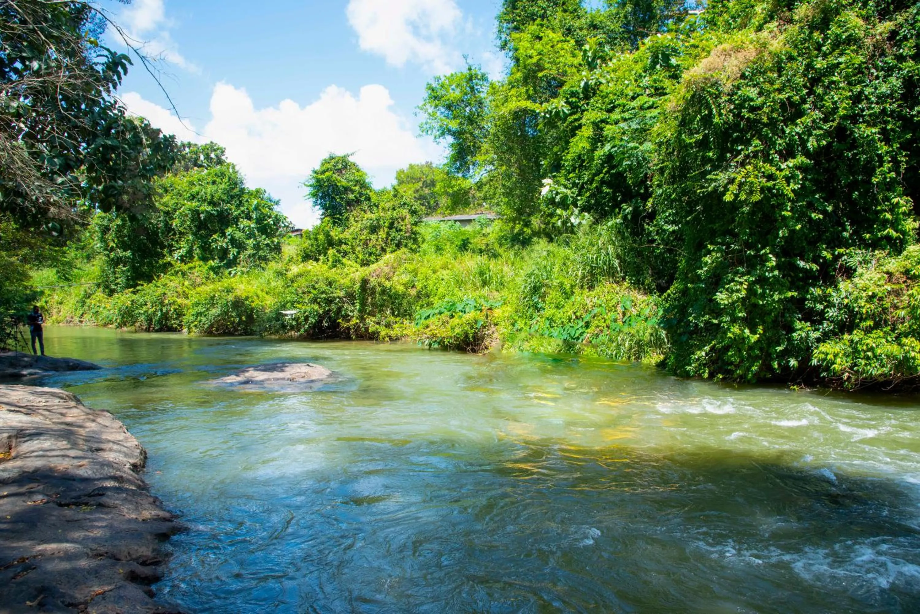 Day in The New Crown Hotel