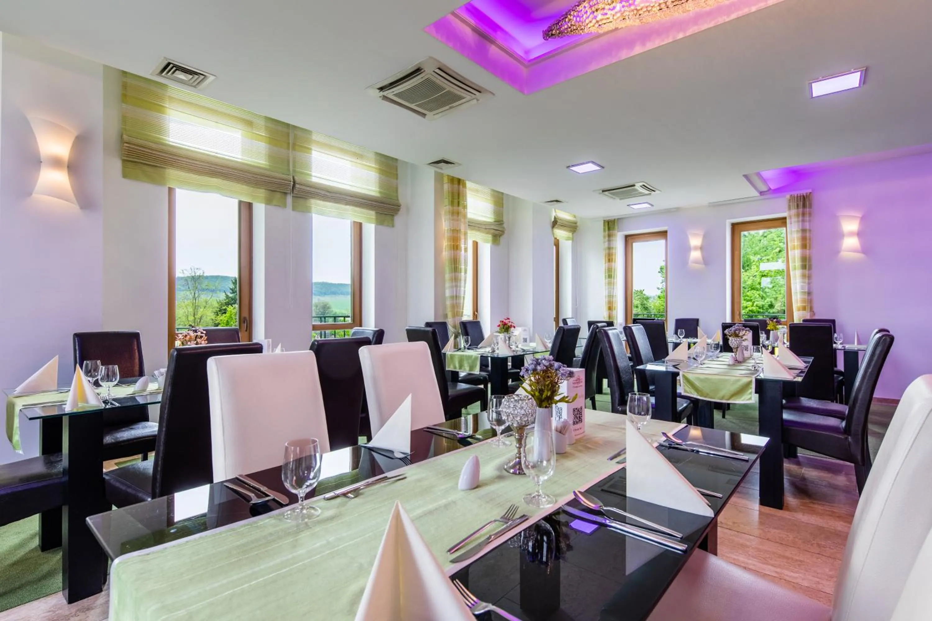 Restaurant/places to eat in Hotel Vécsecity