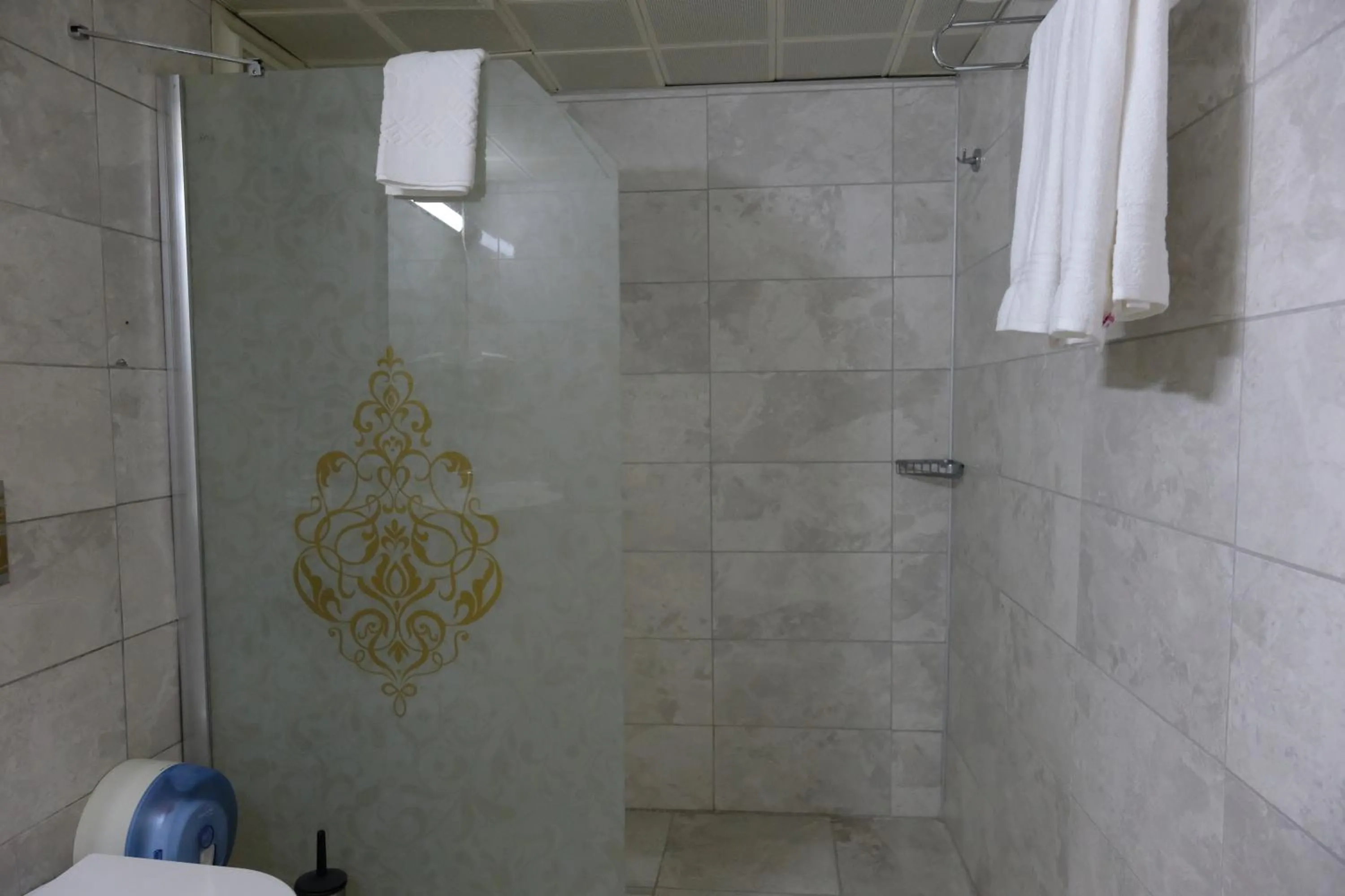 Shower in Anatolia Park Hotel