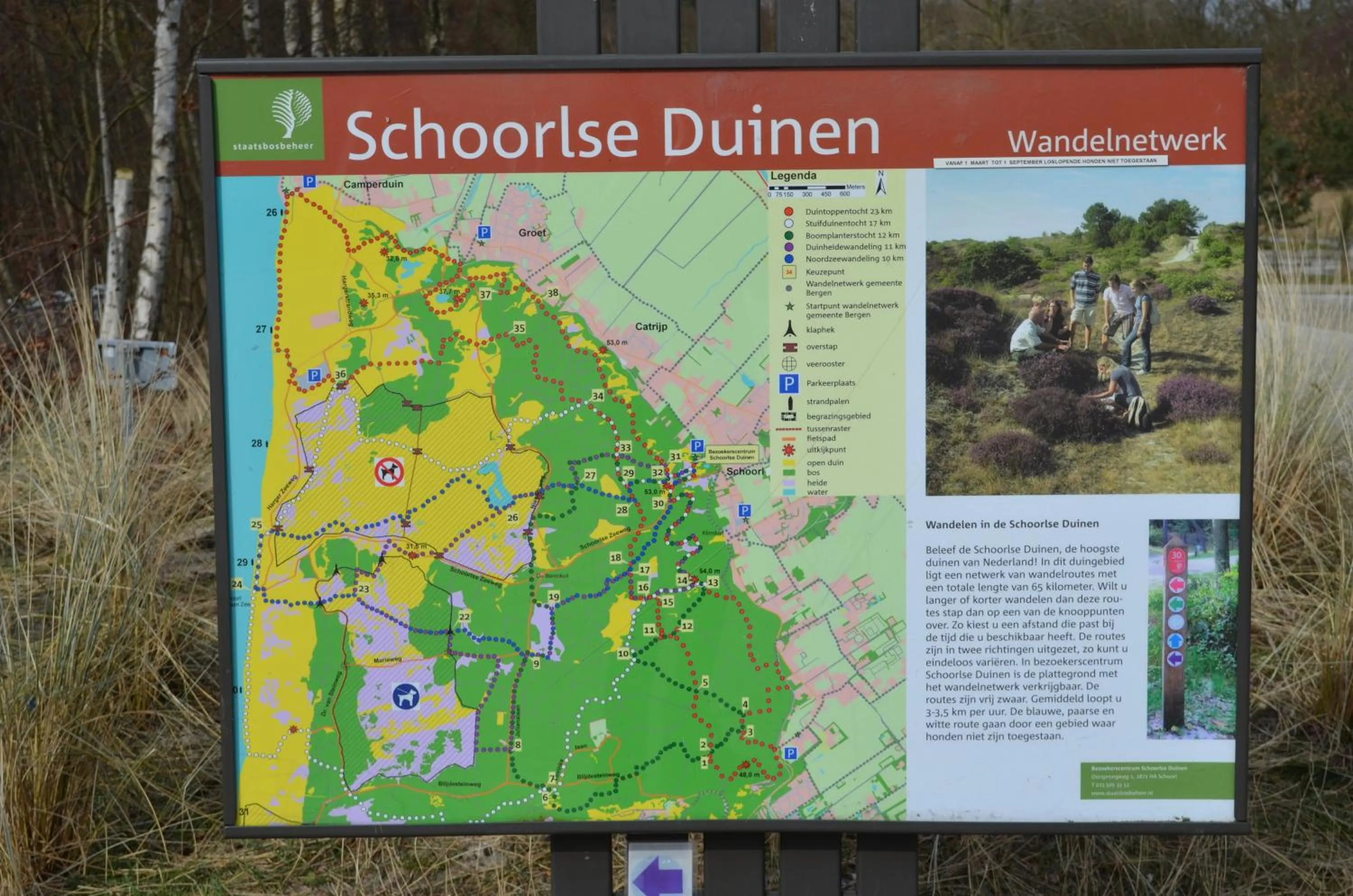 Horse-riding in Fletcher Hotel Jan van Scorel