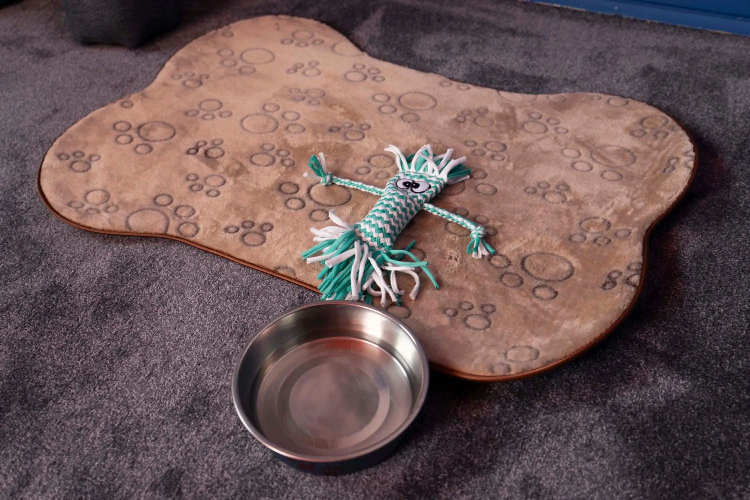 Pets in Maria Luisa by INTROVERT HOTELS