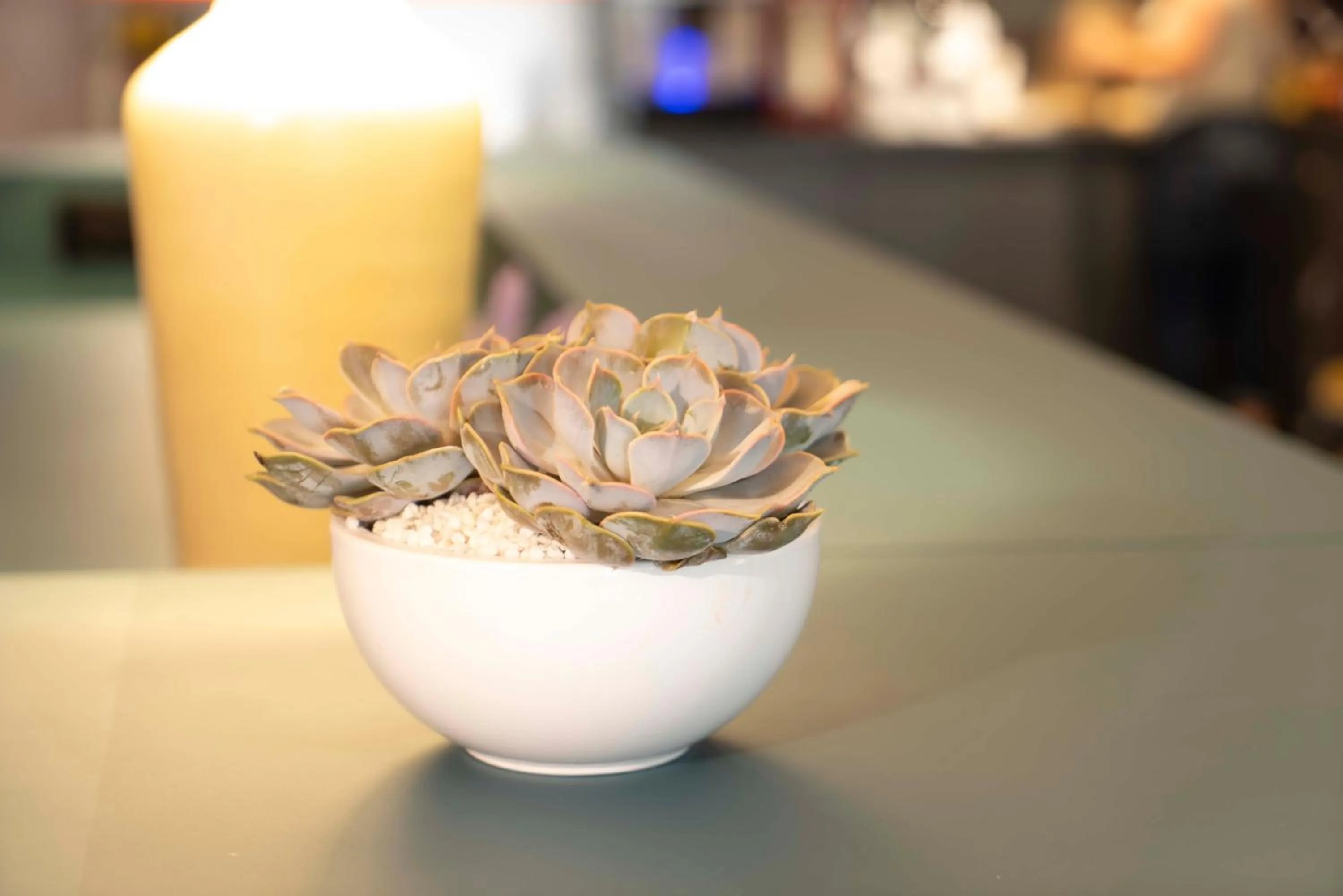 Decorative detail in Maria Luisa by INTROVERT HOTELS