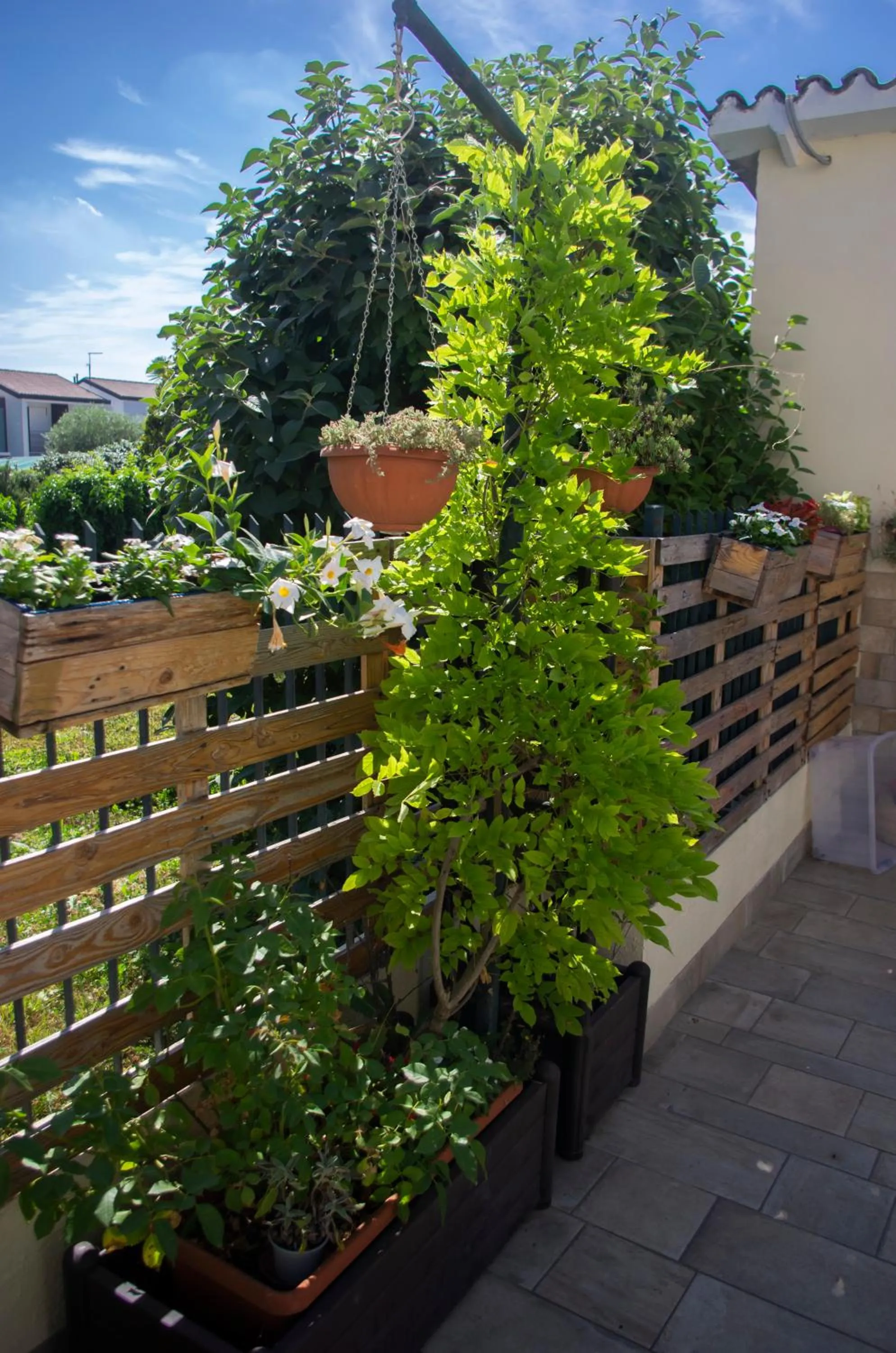 Garden in B&B dai Carari