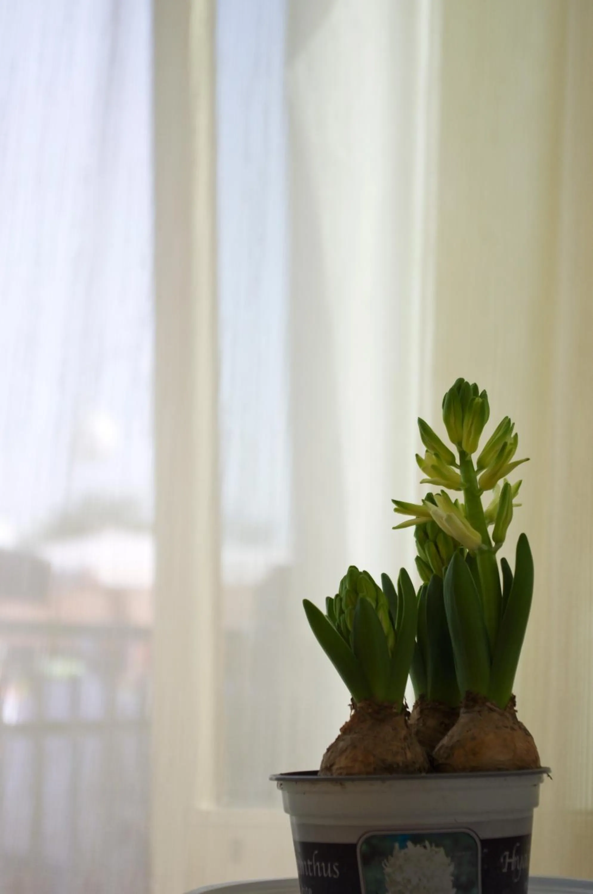 Decorative detail in B&B dai Carari