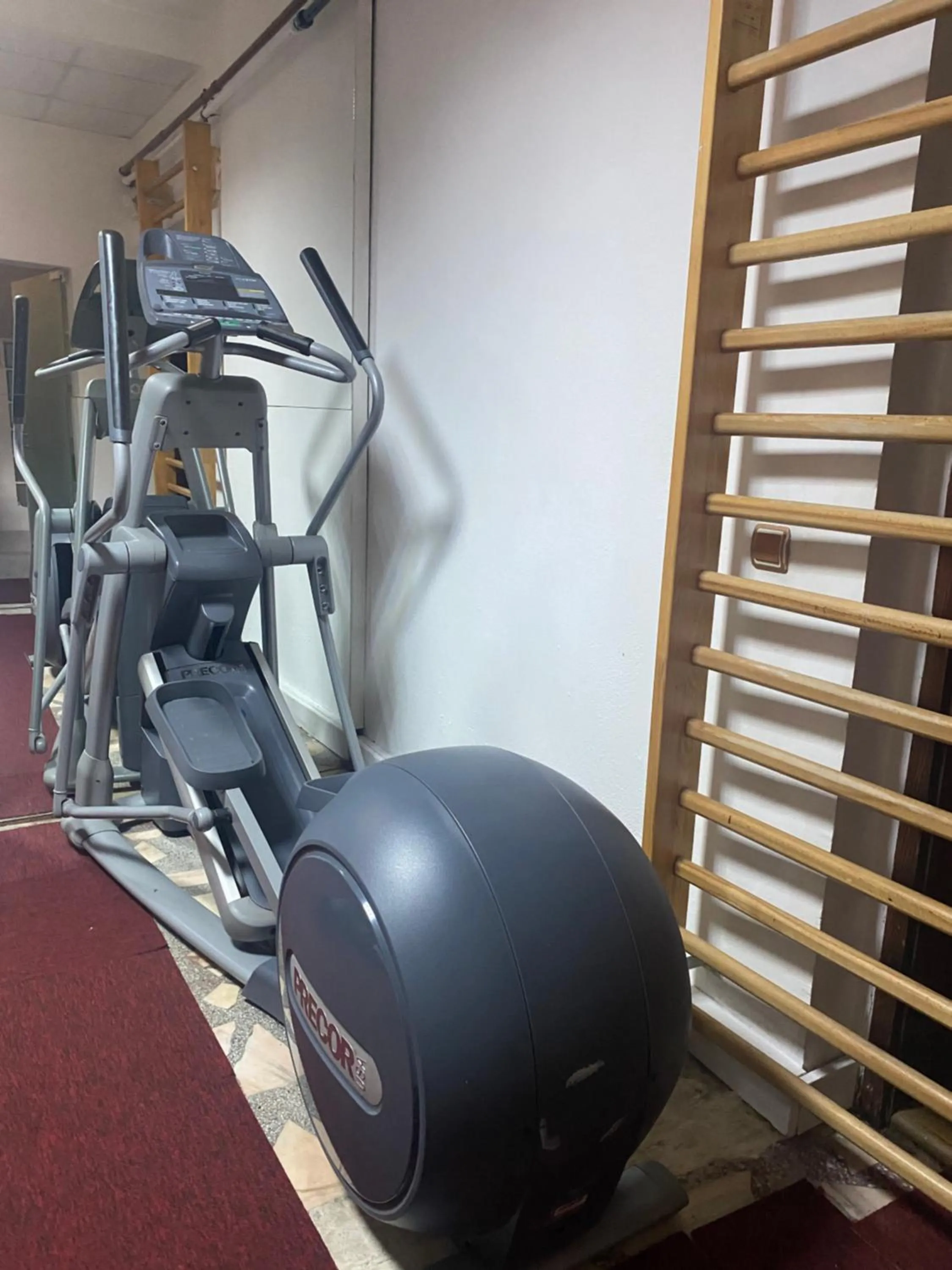 Fitness centre/facilities in Luxuria Central Villa Bucharest