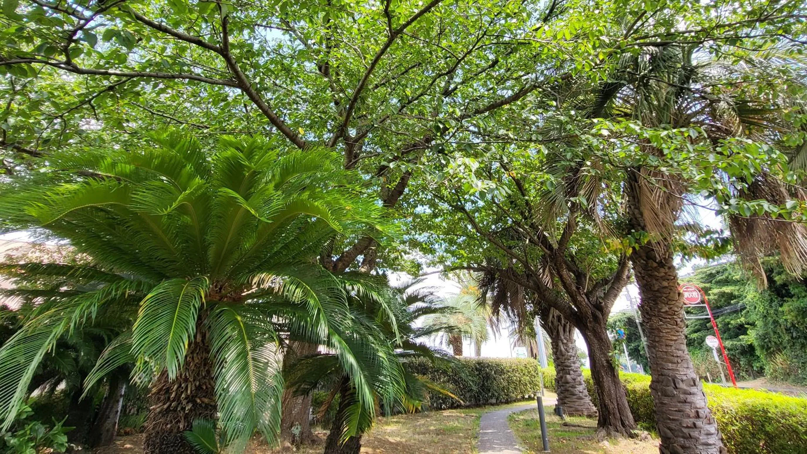 Day in La vista Yokosuka Kannonzaki Terrace