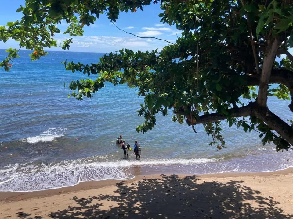 Day in Baki Divers and Beach Resort