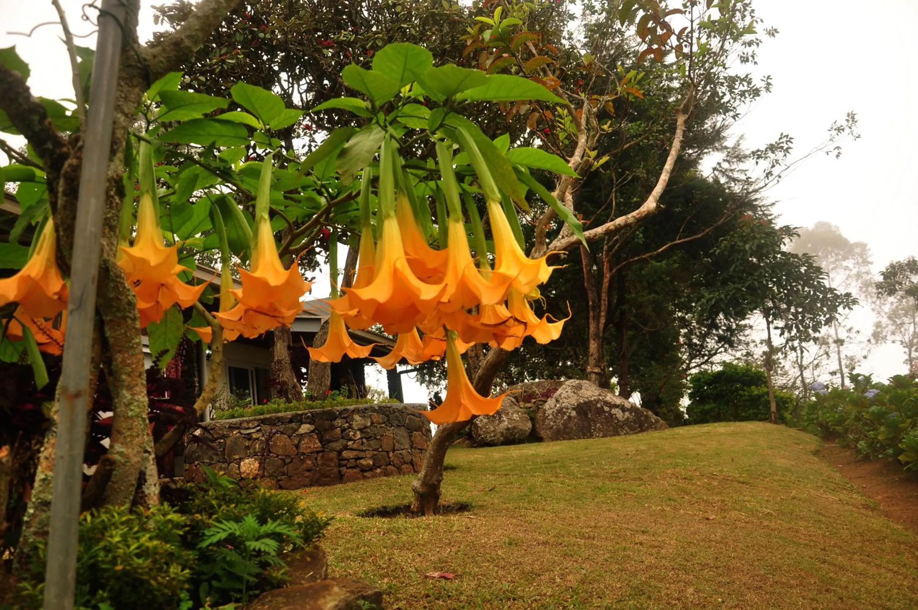 Natural landscape in Clouds Holiday Bungalow