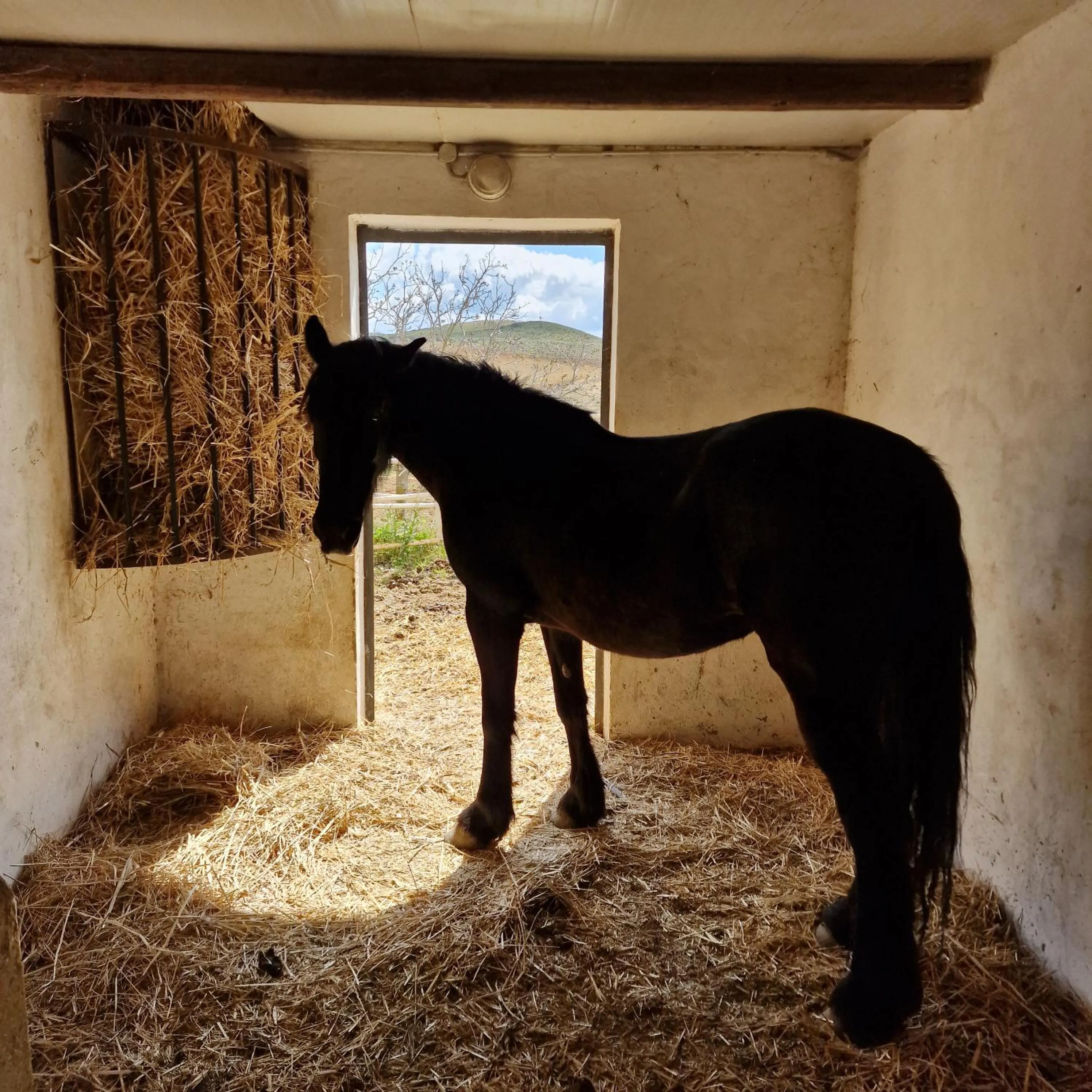 Agriturismo Il Drago