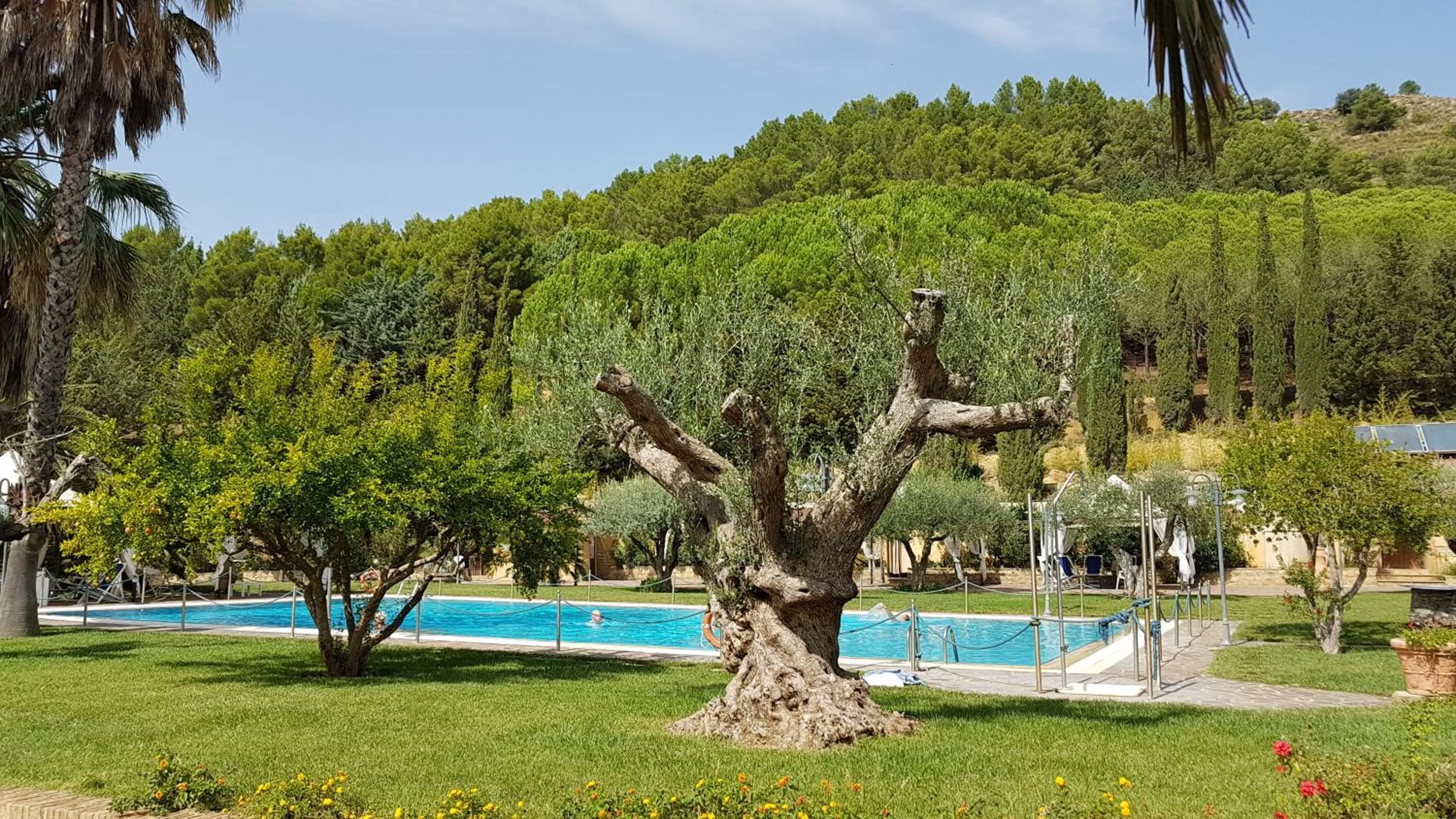 Garden in Agriturismo Il Drago