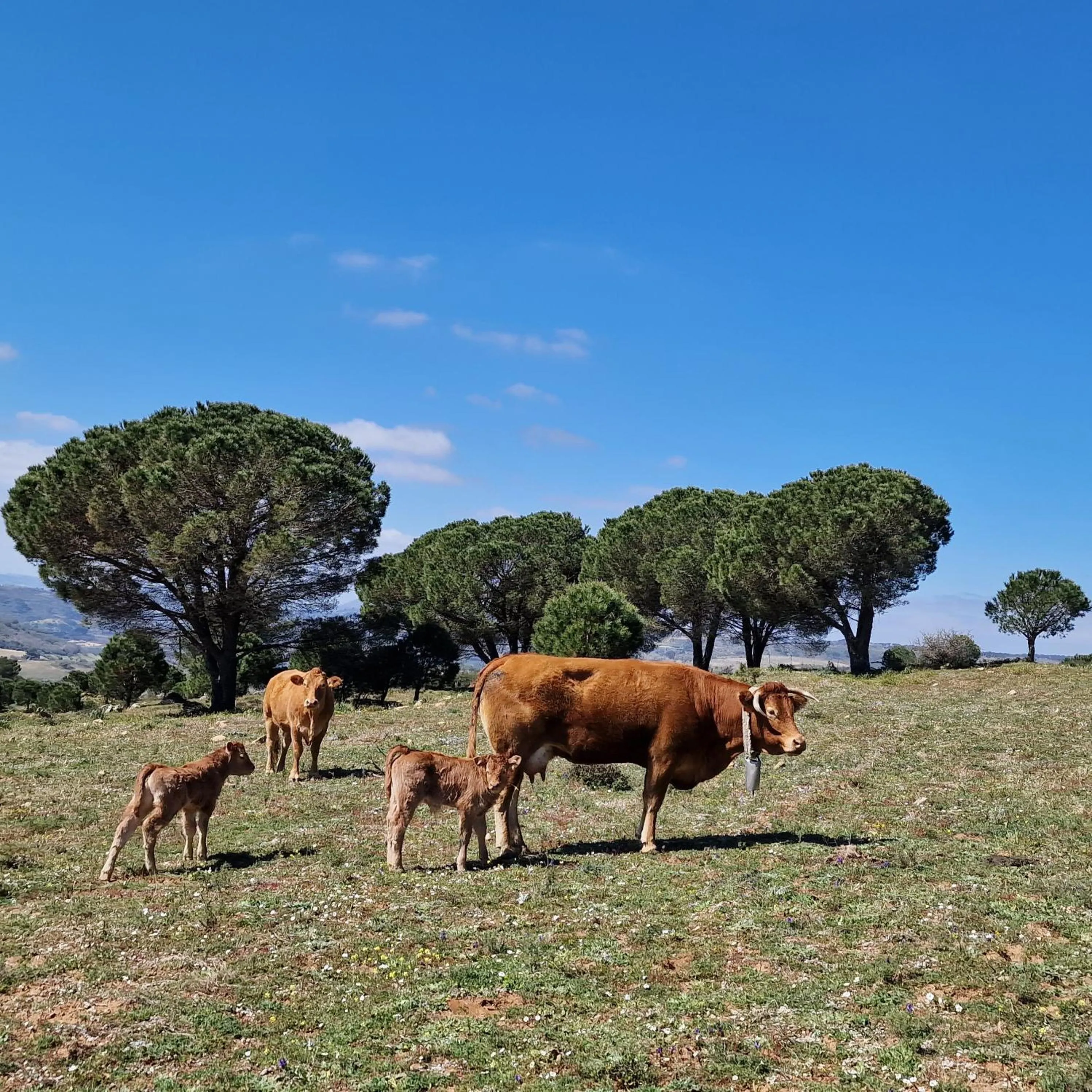 Agriturismo Il Drago