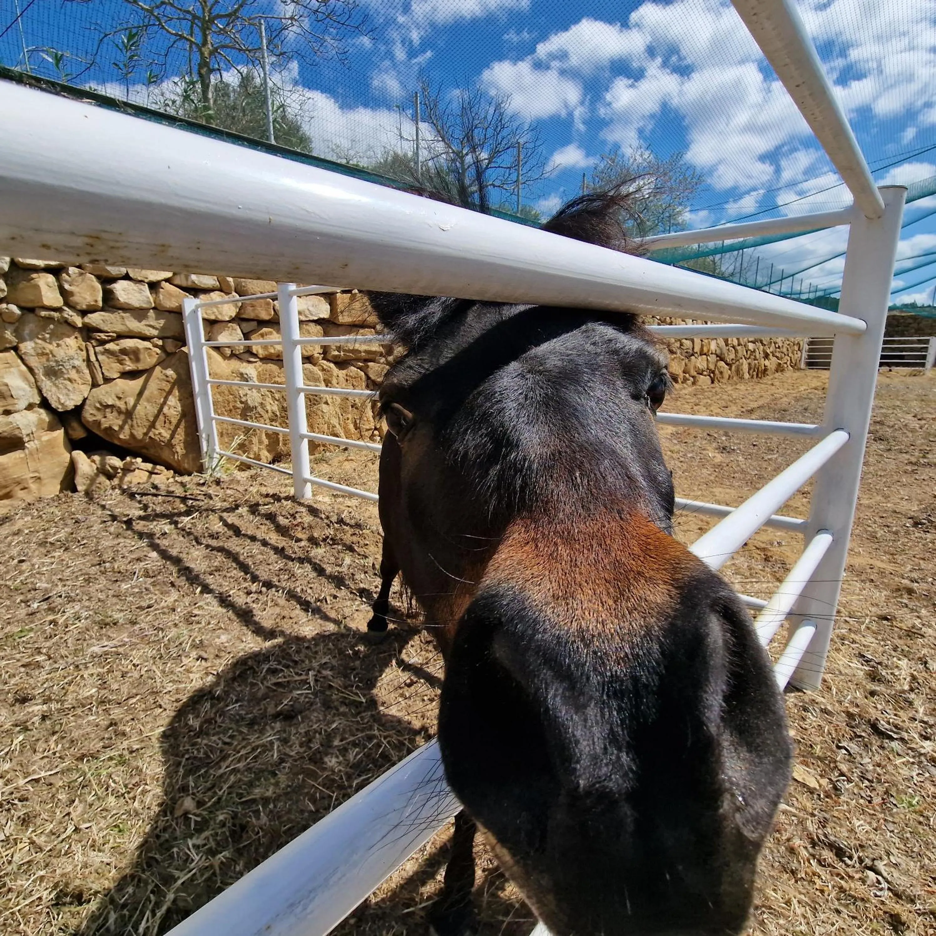 Agriturismo Il Drago
