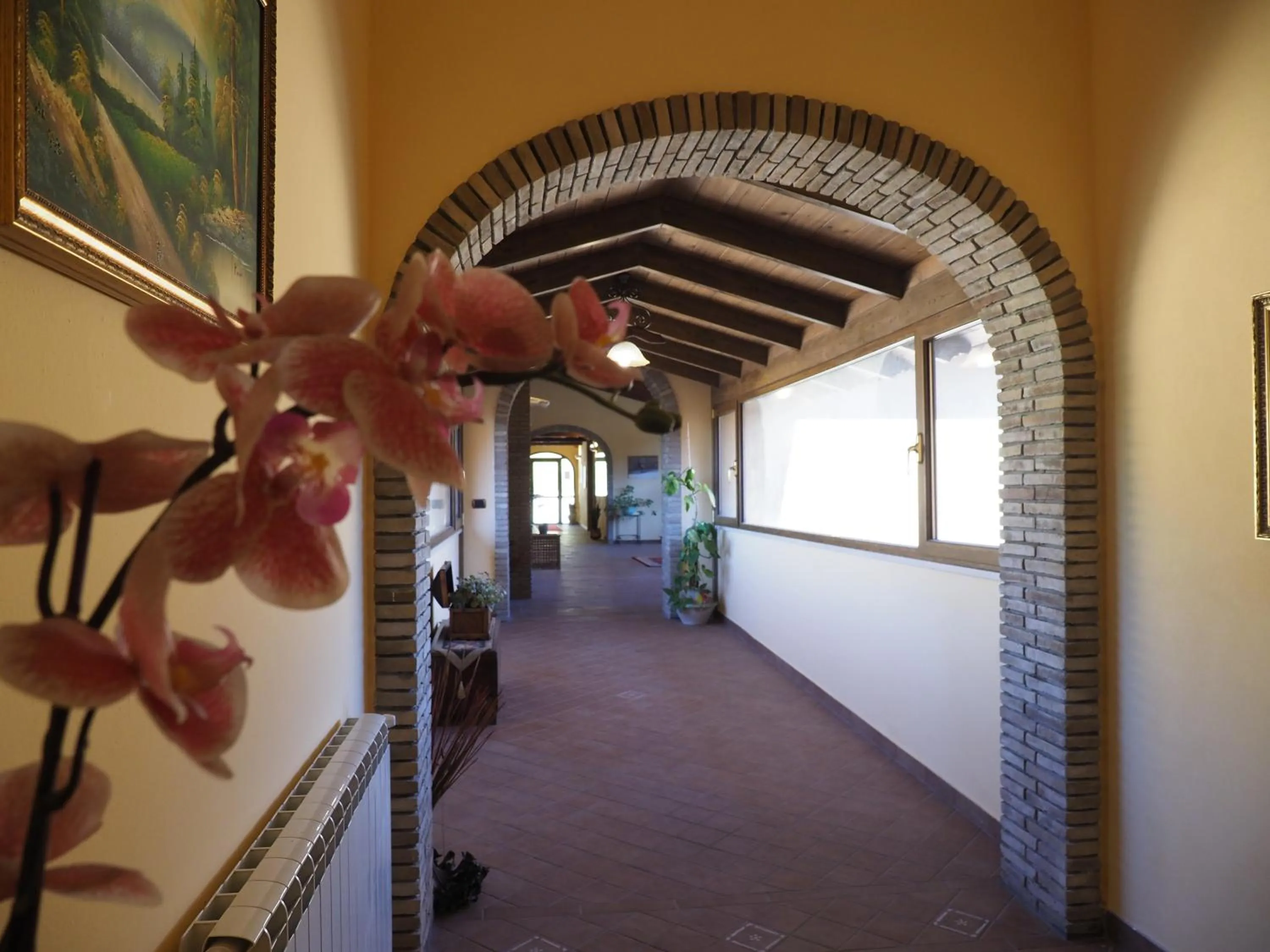 Agriturismo Il Drago