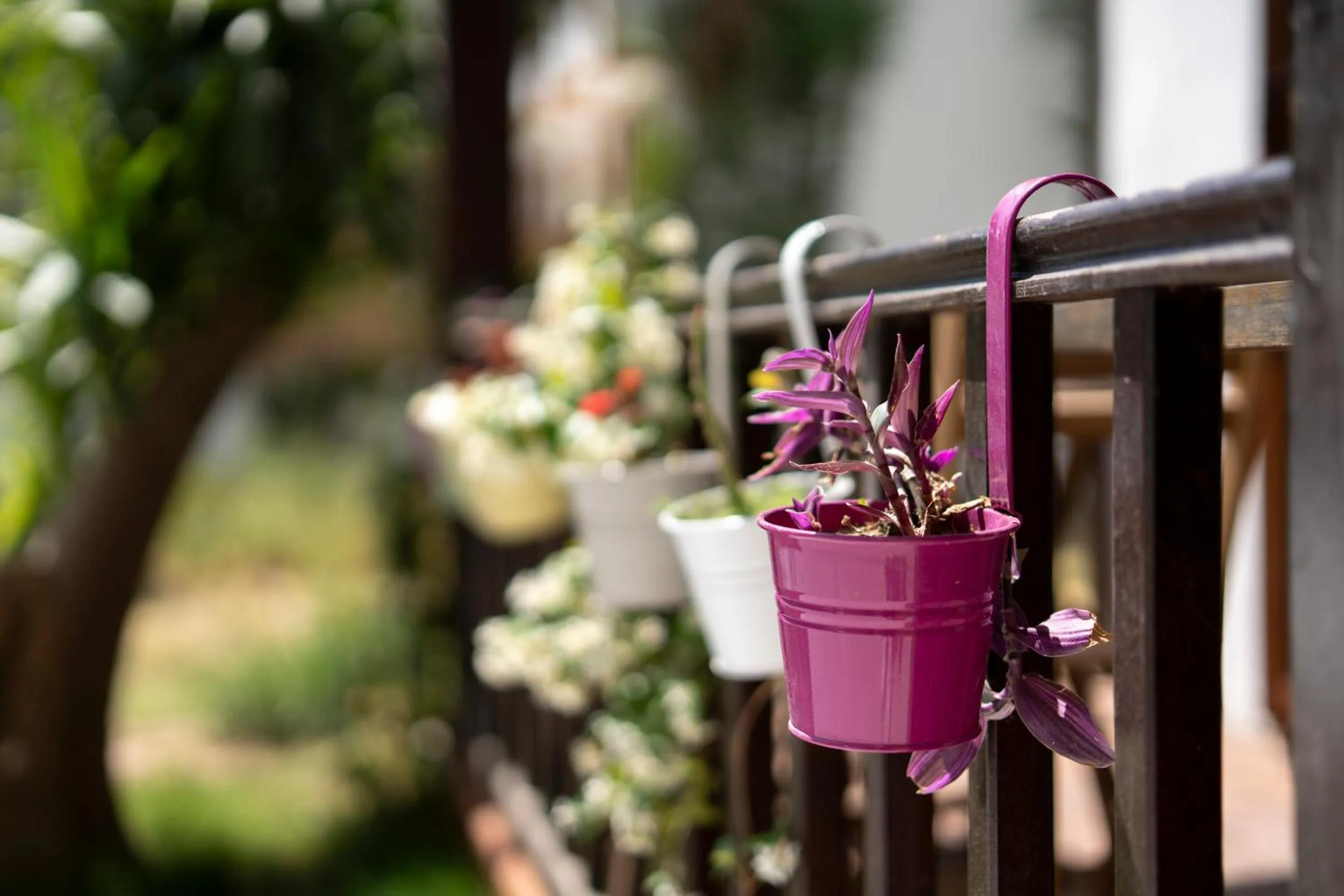 Balcony/Terrace in My Antalya
