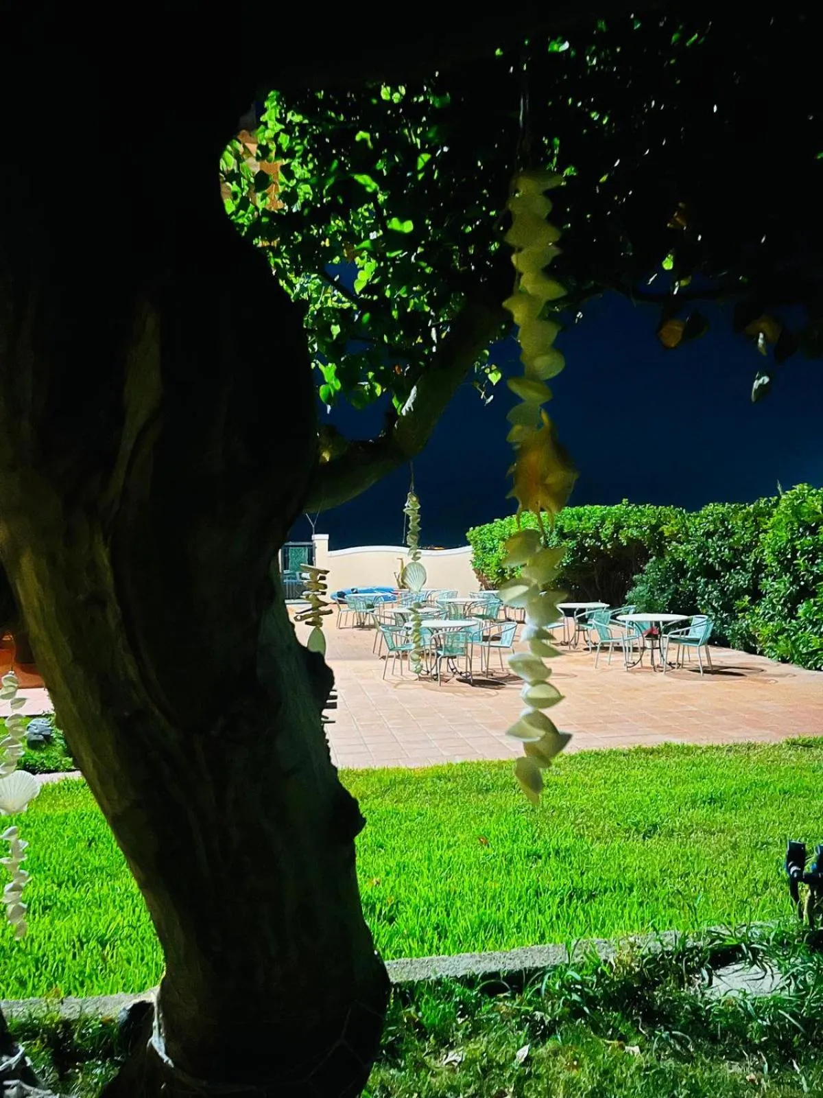 Restaurant/places to eat in Hotel La Lampara